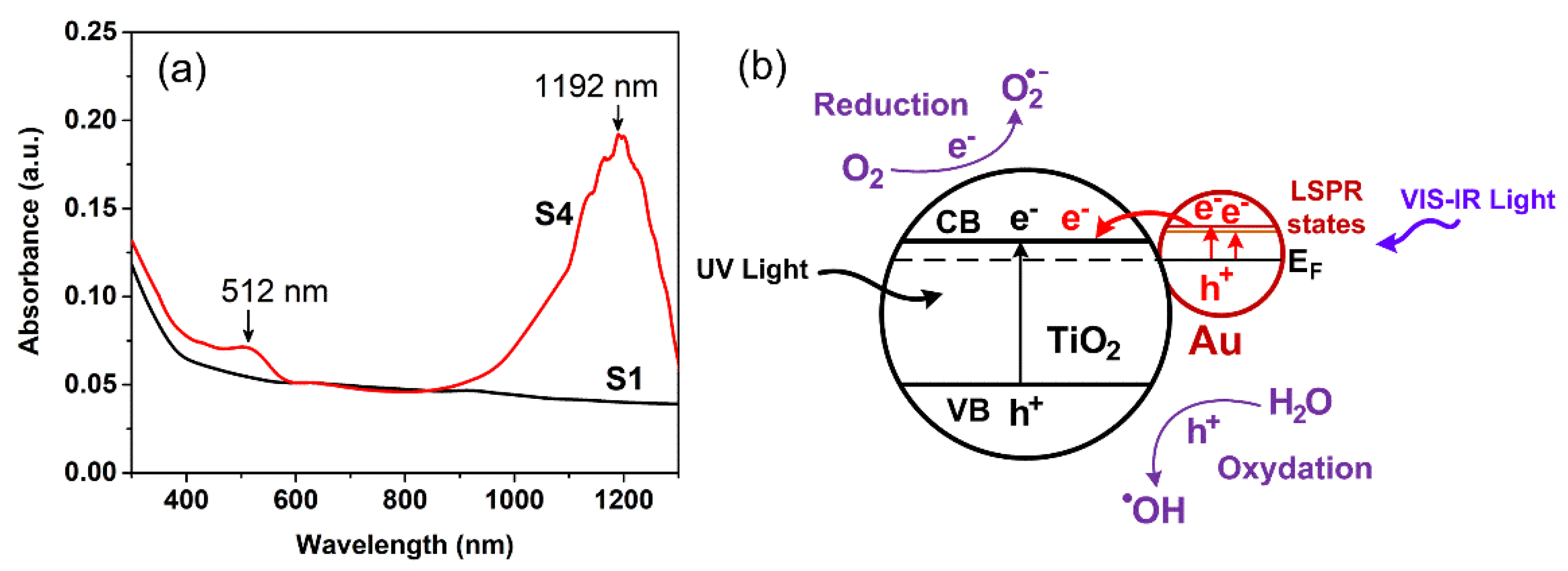 Coatings 12 01957 g009 Coatings 12 01957 g009