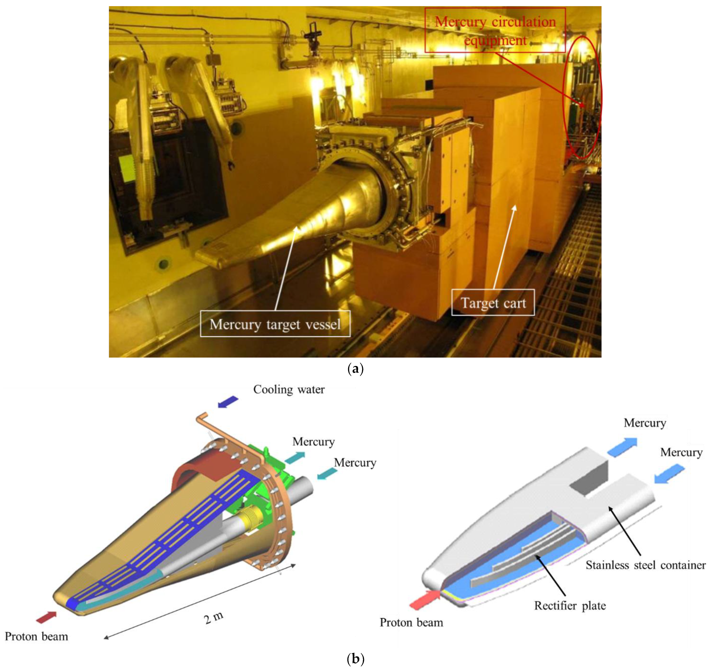 Coatings 12 01960 g001