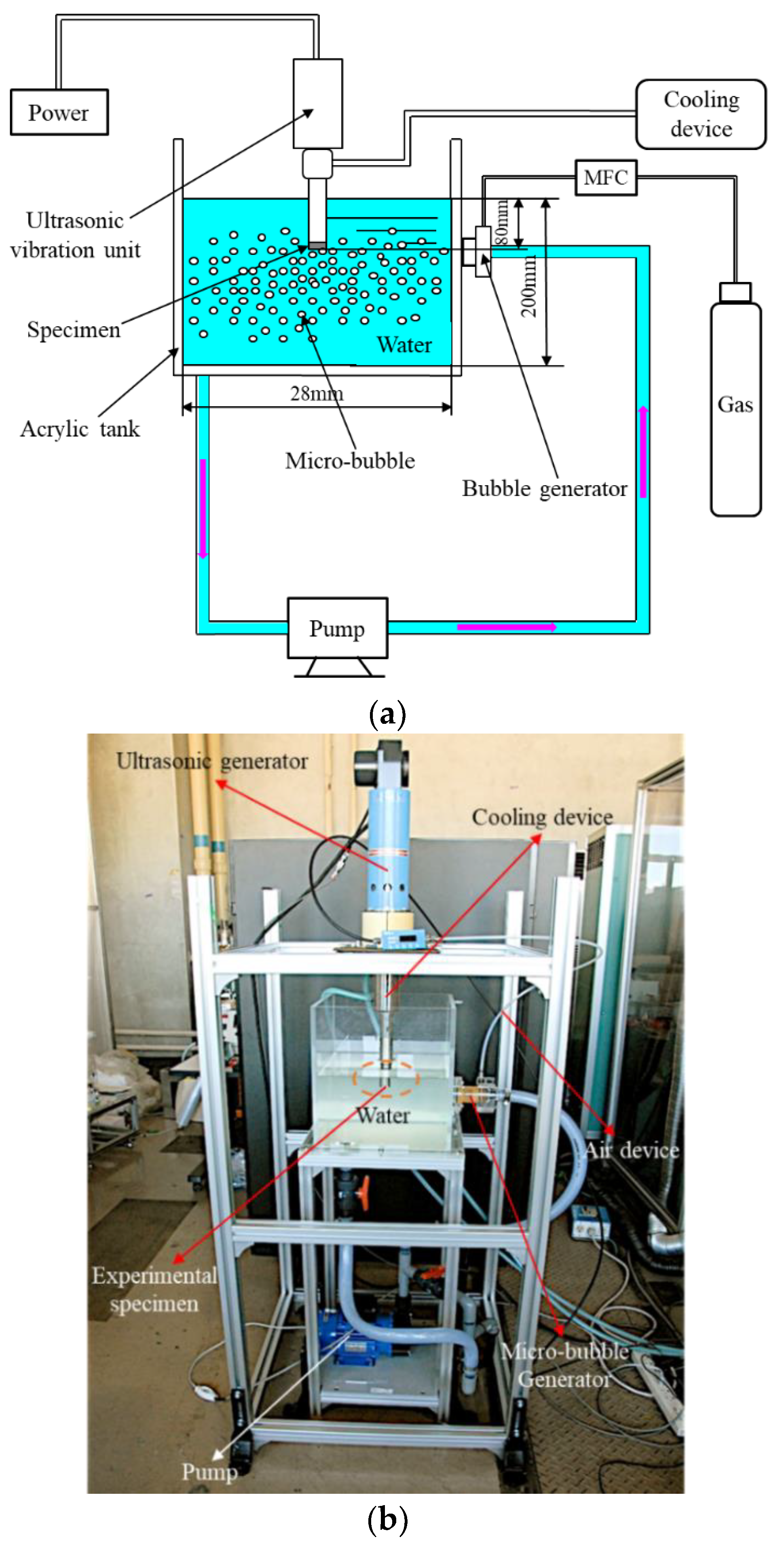 Coatings 12 01960 g003