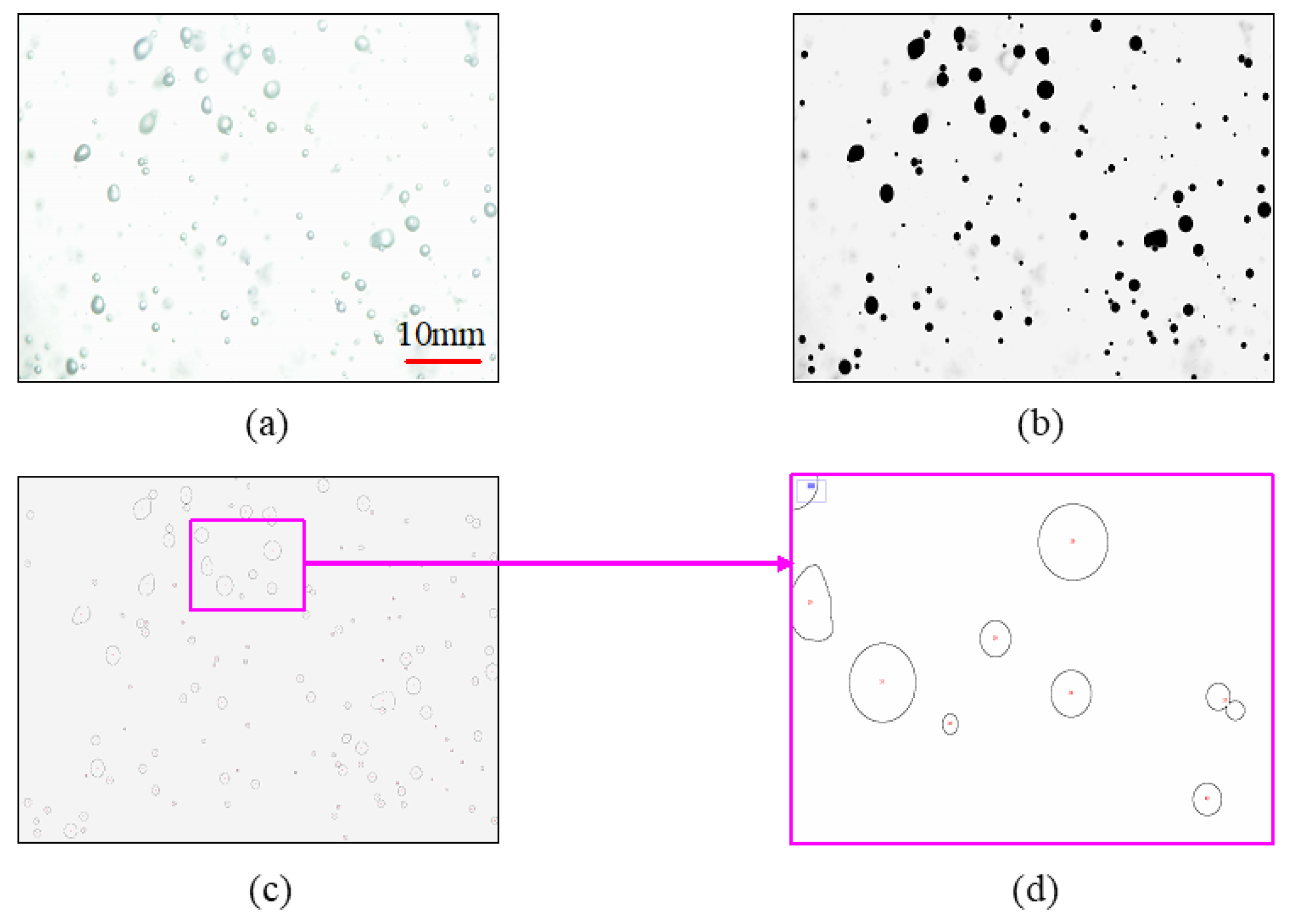 Coatings 12 01960 g004