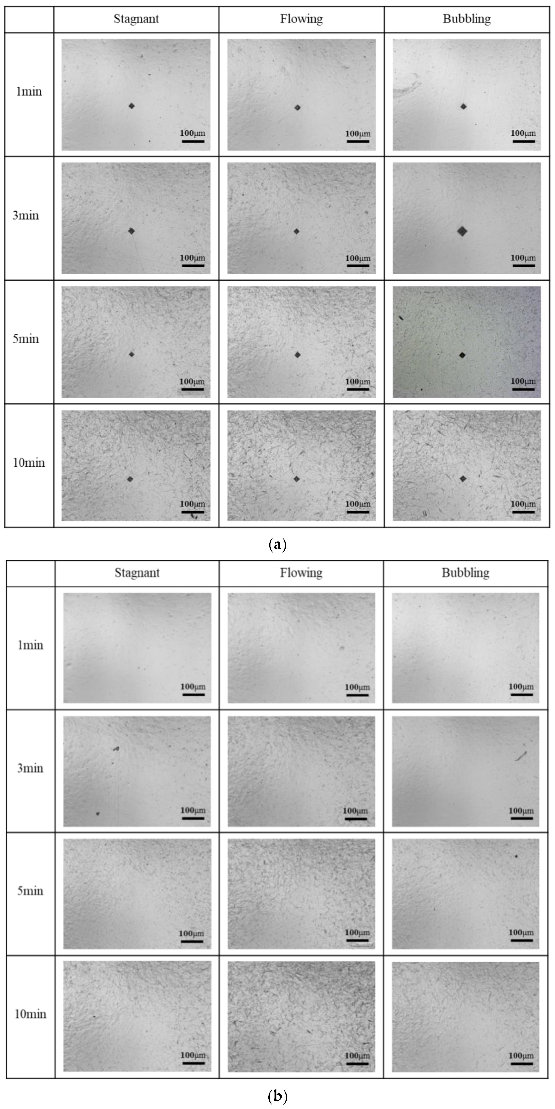 Coatings 12 01960 g006a