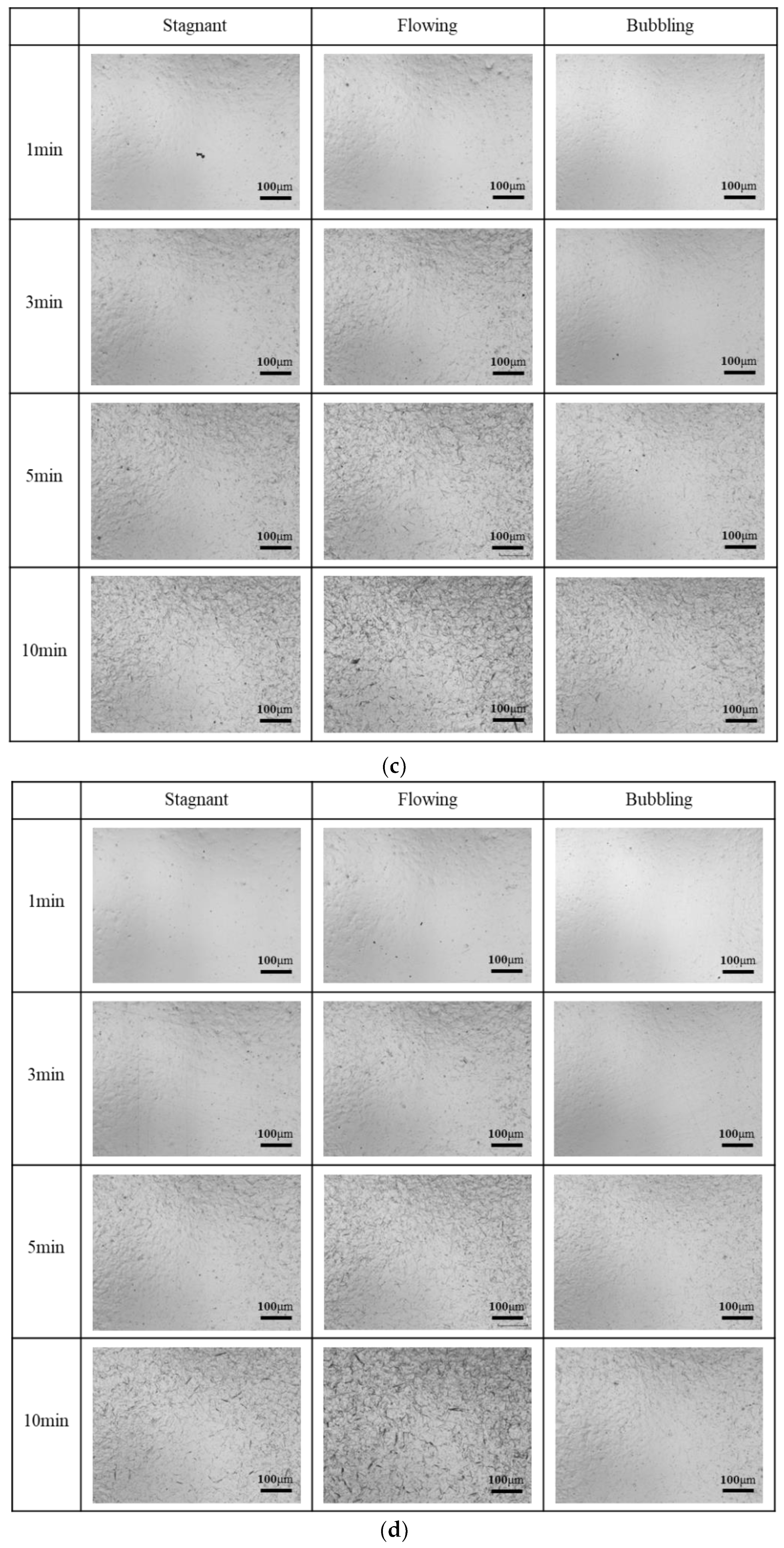 Coatings 12 01960 g006b