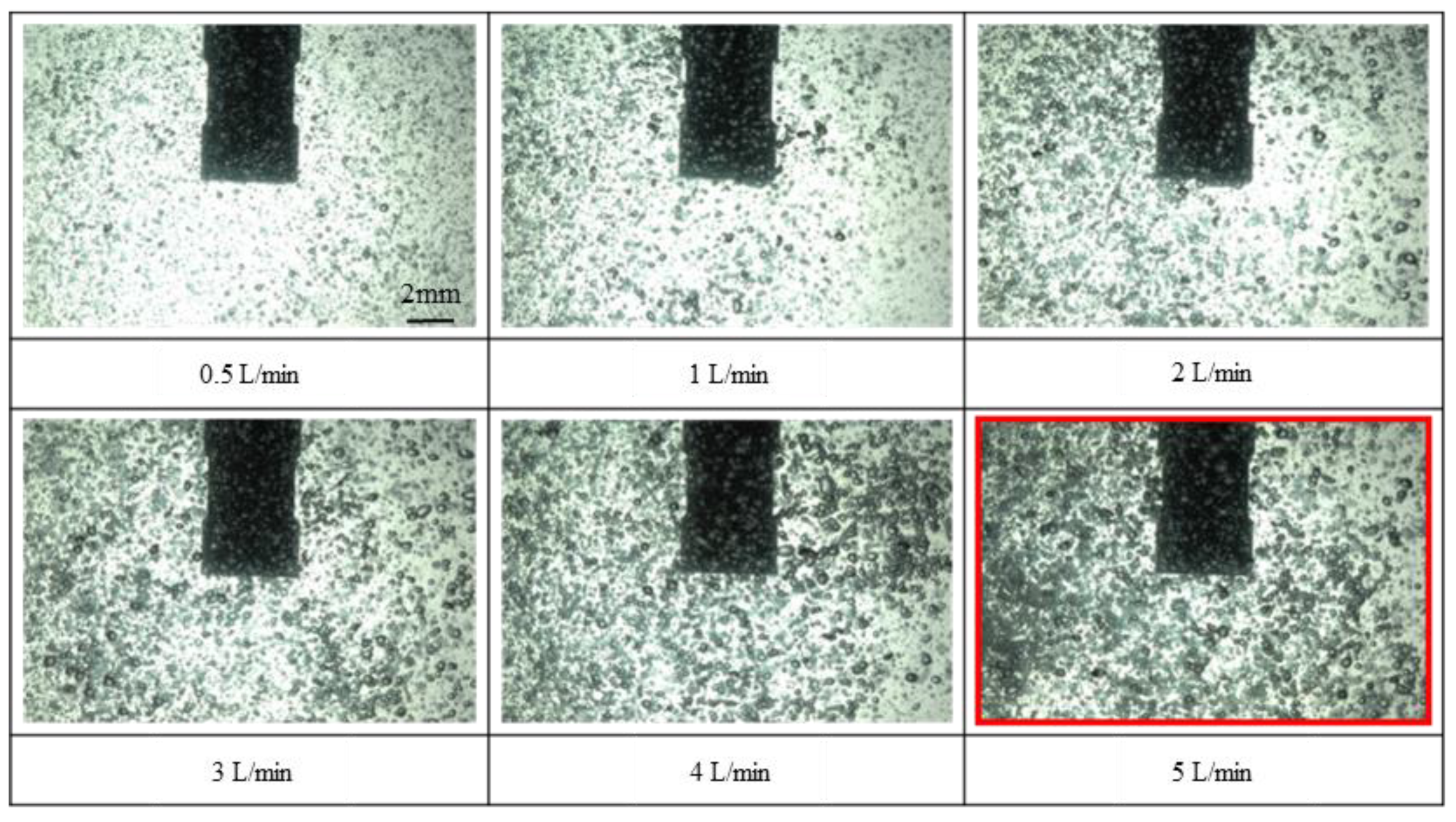 Coatings 12 01960 g008