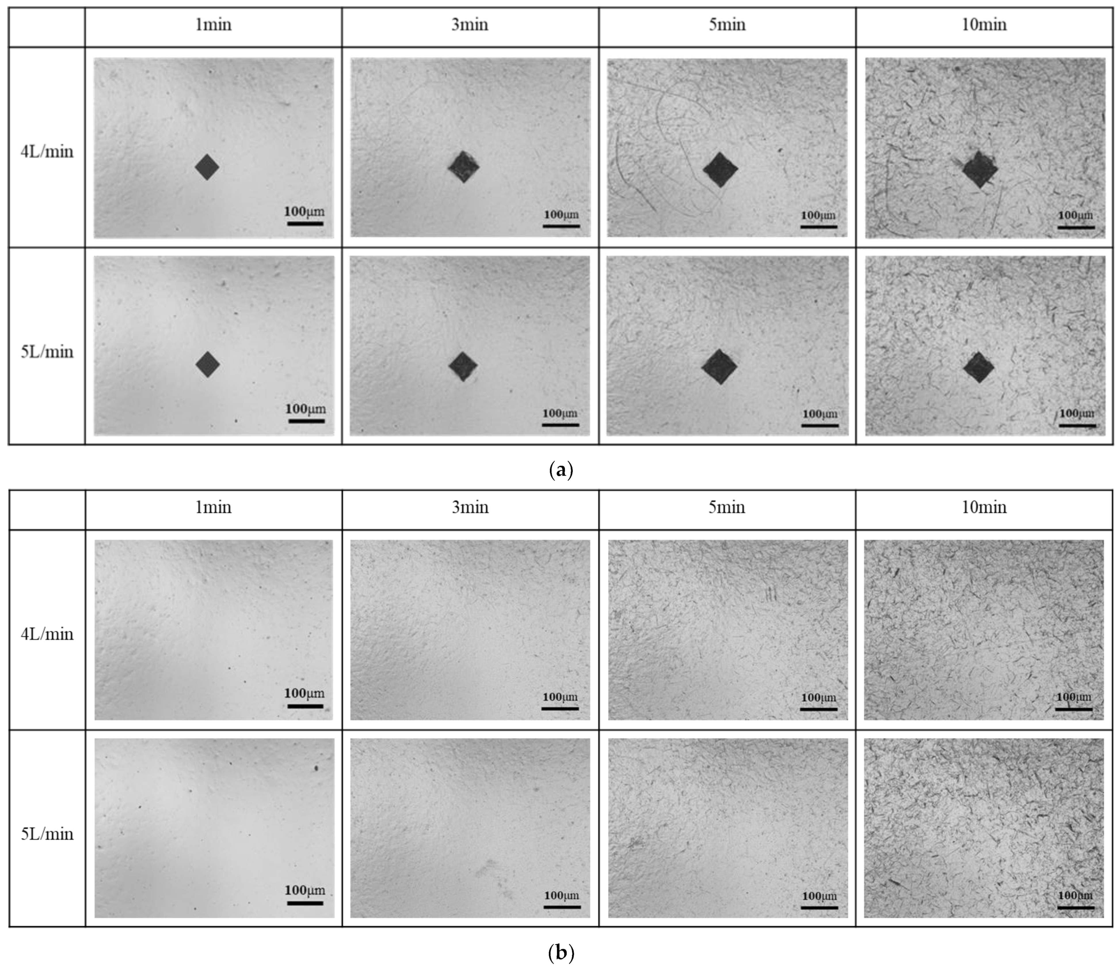 Coatings 12 01960 g010a