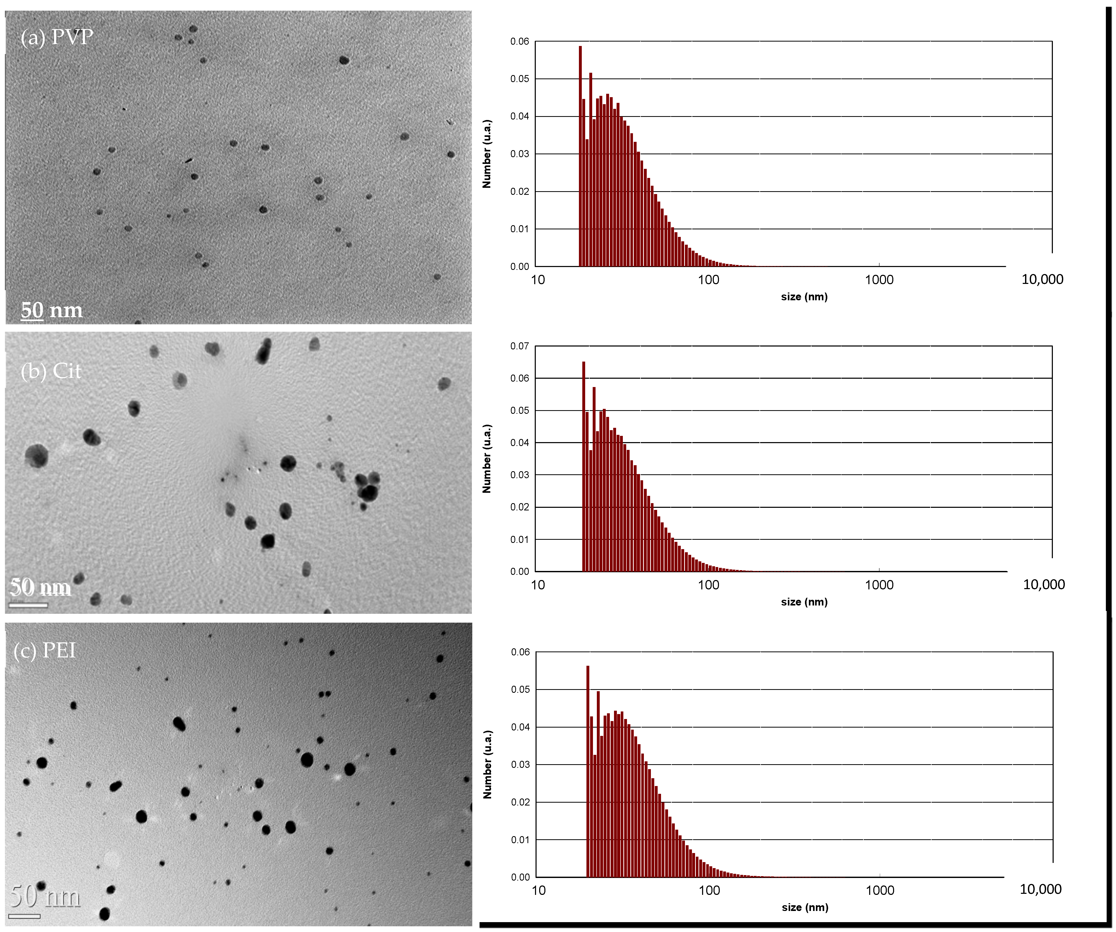 Coatings 12 01968 g001