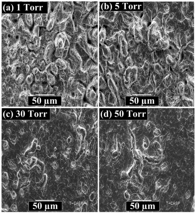Coatings 12 01972 g010