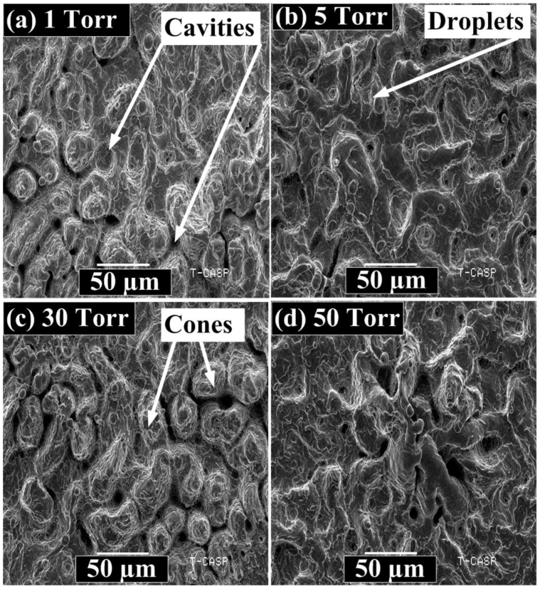 Coatings 12 01972 g011