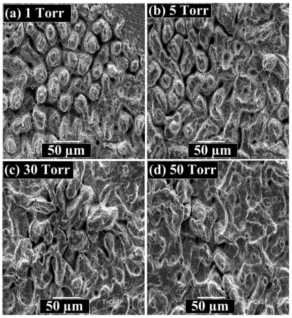 Coatings 12 01972 g013