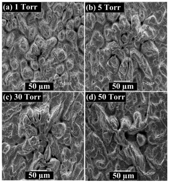 Coatings 12 01972 g014