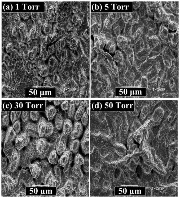 Coatings 12 01972 g015