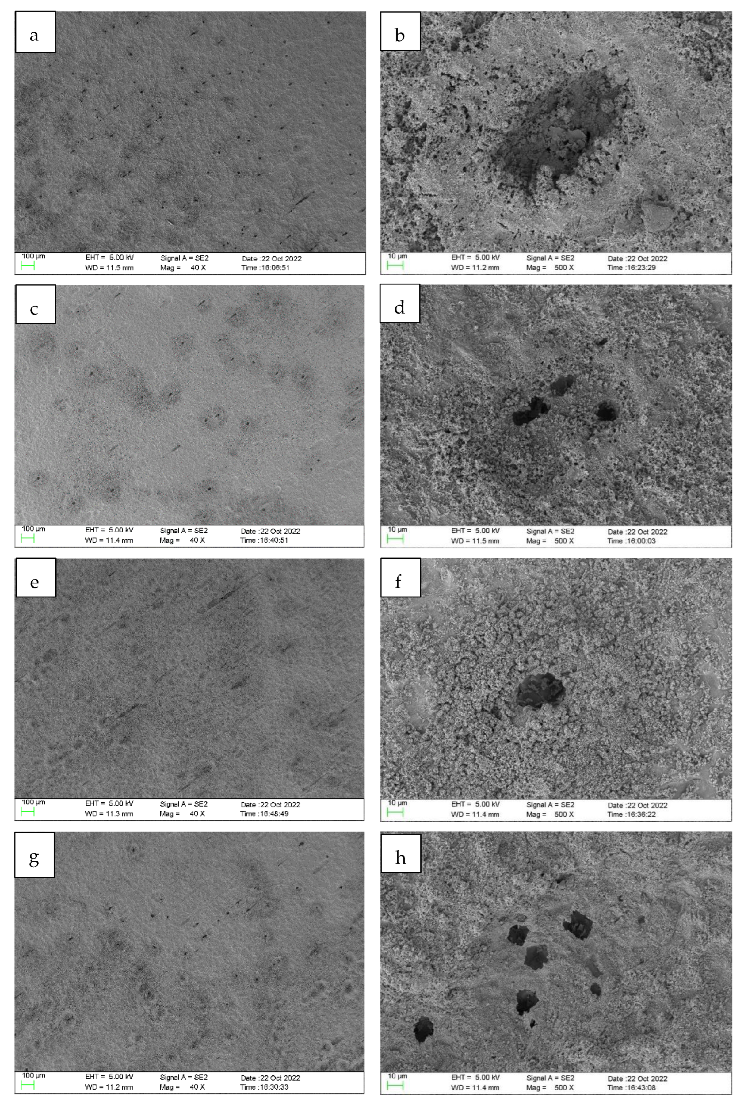 Coatings 12 01975 g006a