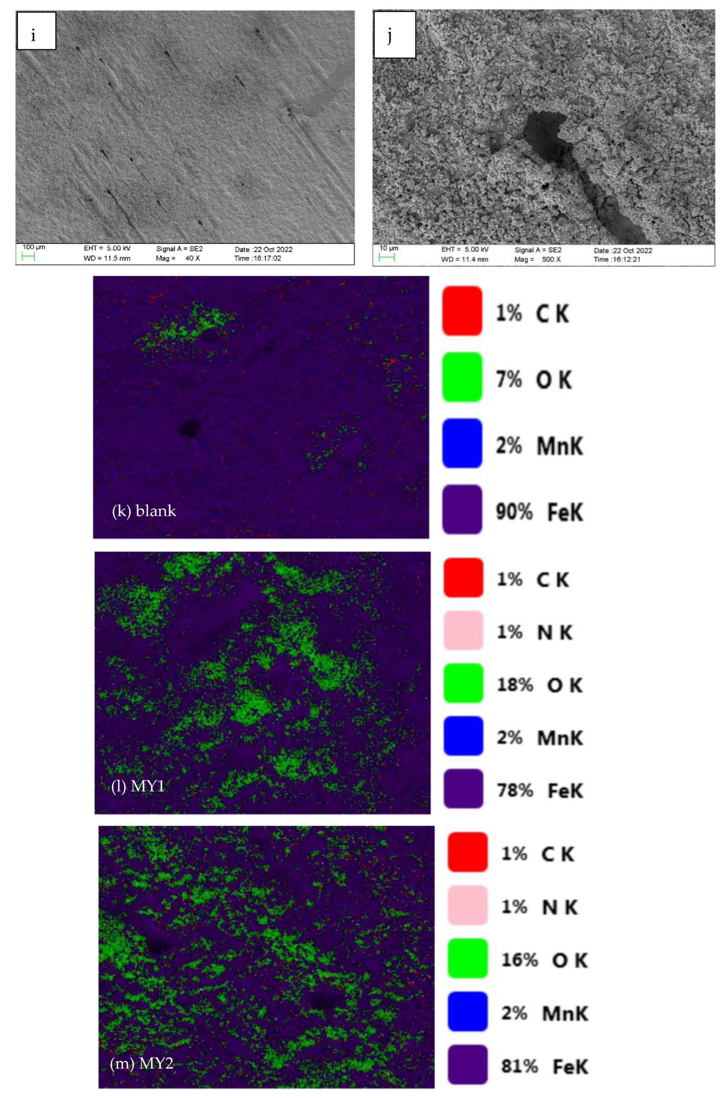 Coatings 12 01975 g006b