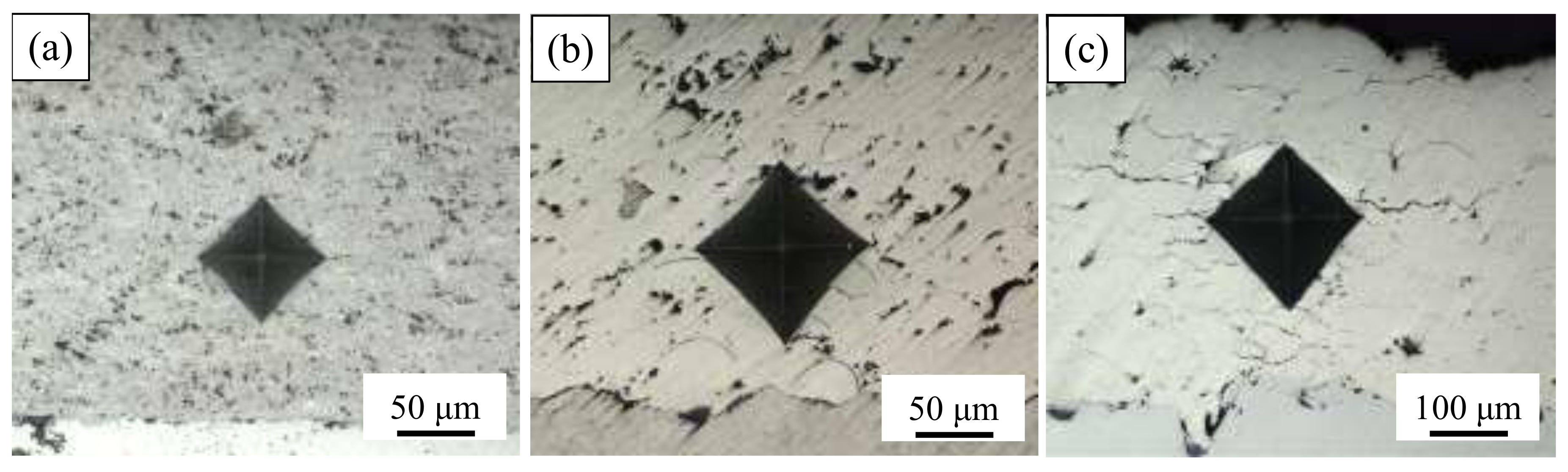 Coatings 12 01977 g006