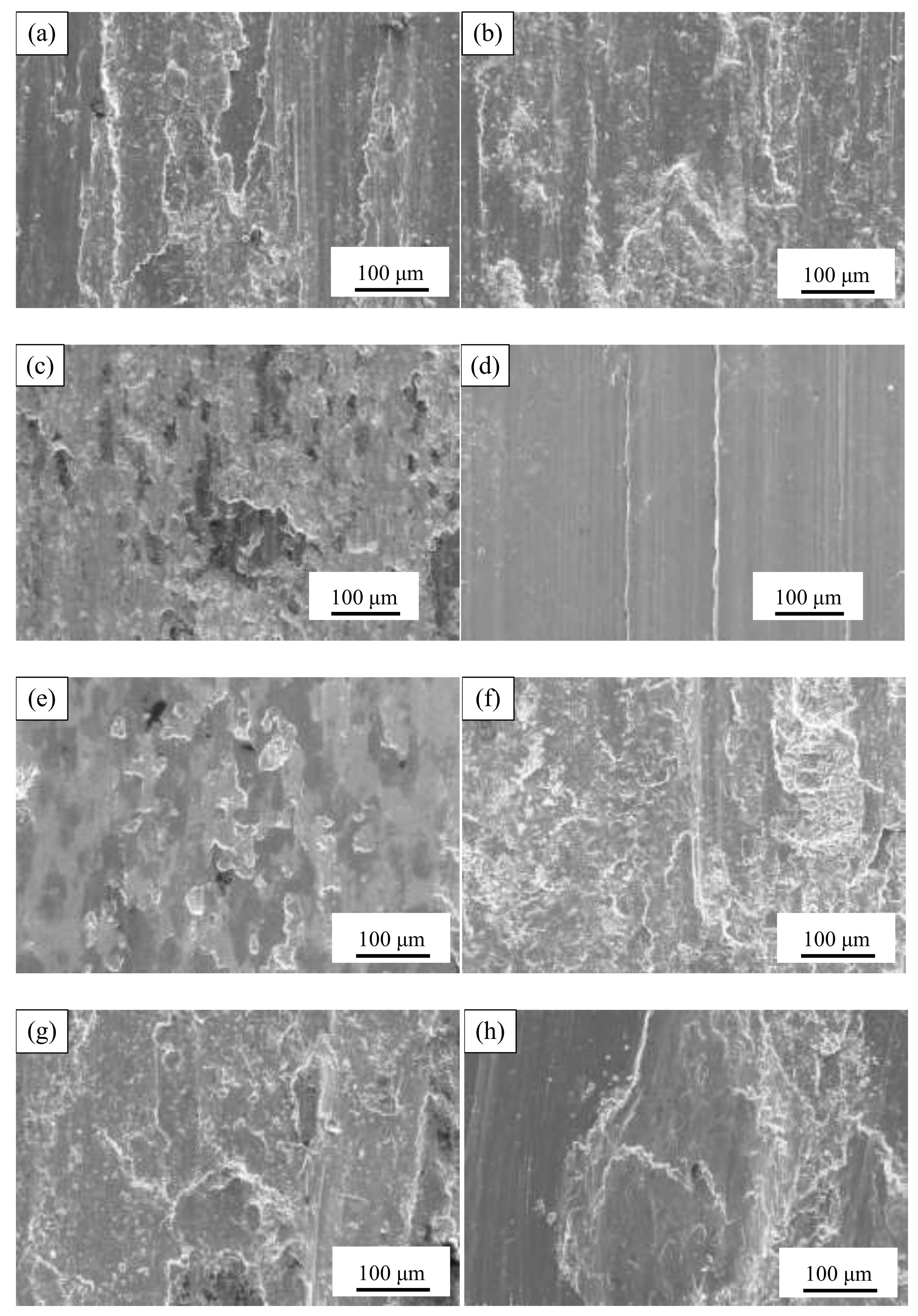 Coatings 12 01977 g011