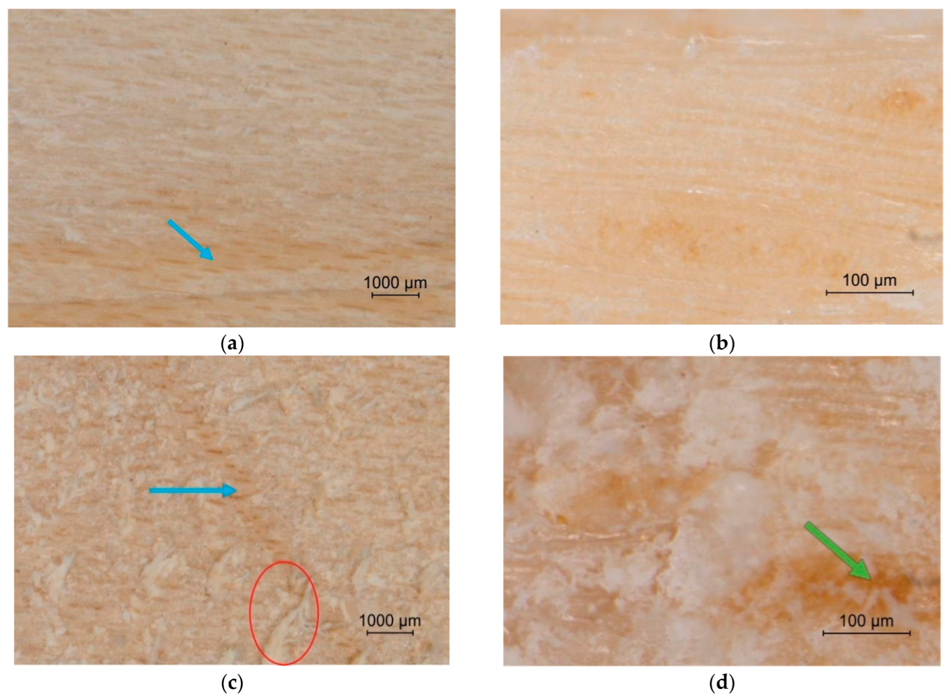 Coatings 12 01982 g004a Coatings 12 01982 g004a