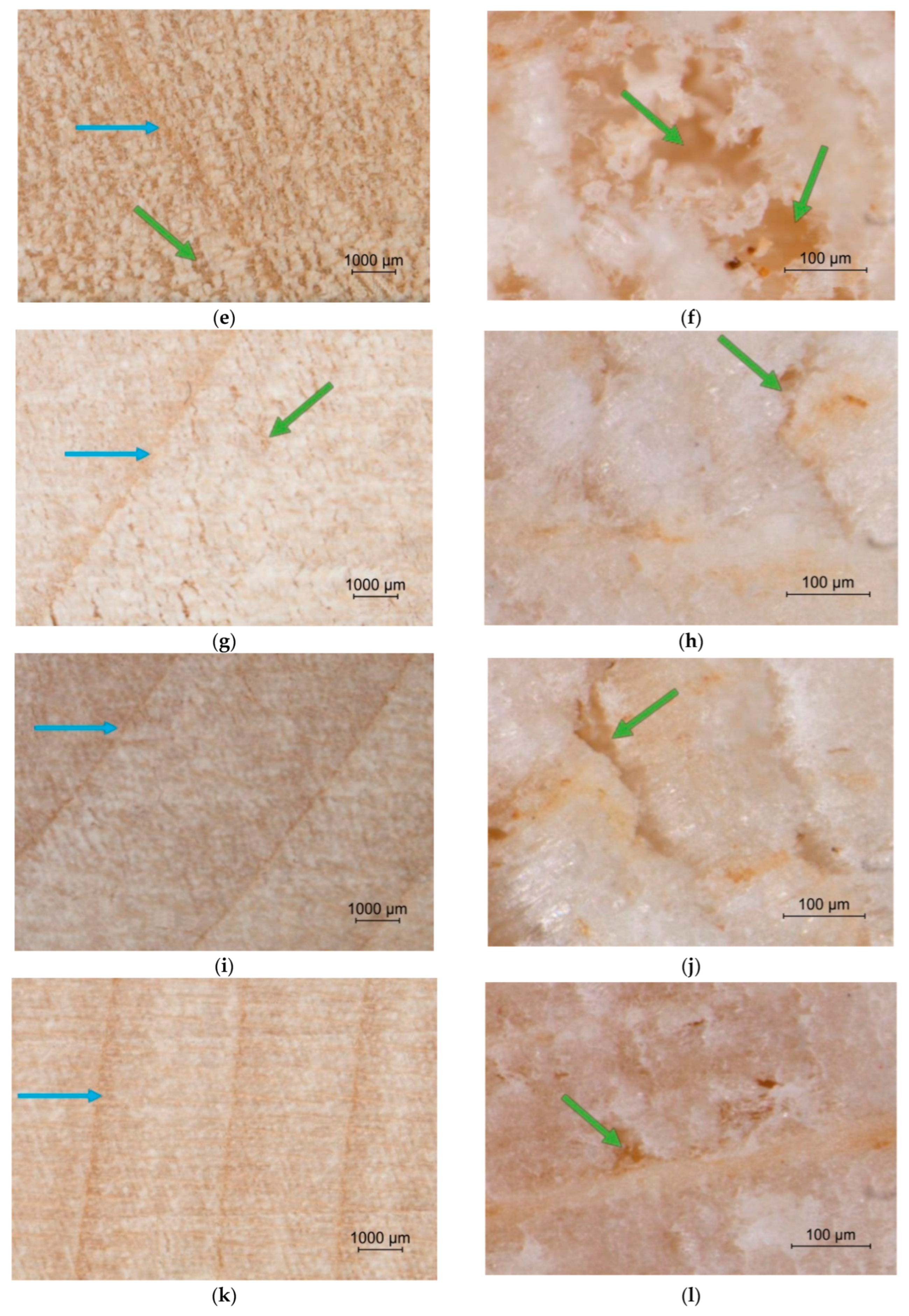 Coatings 12 01982 g004b Coatings 12 01982 g004b