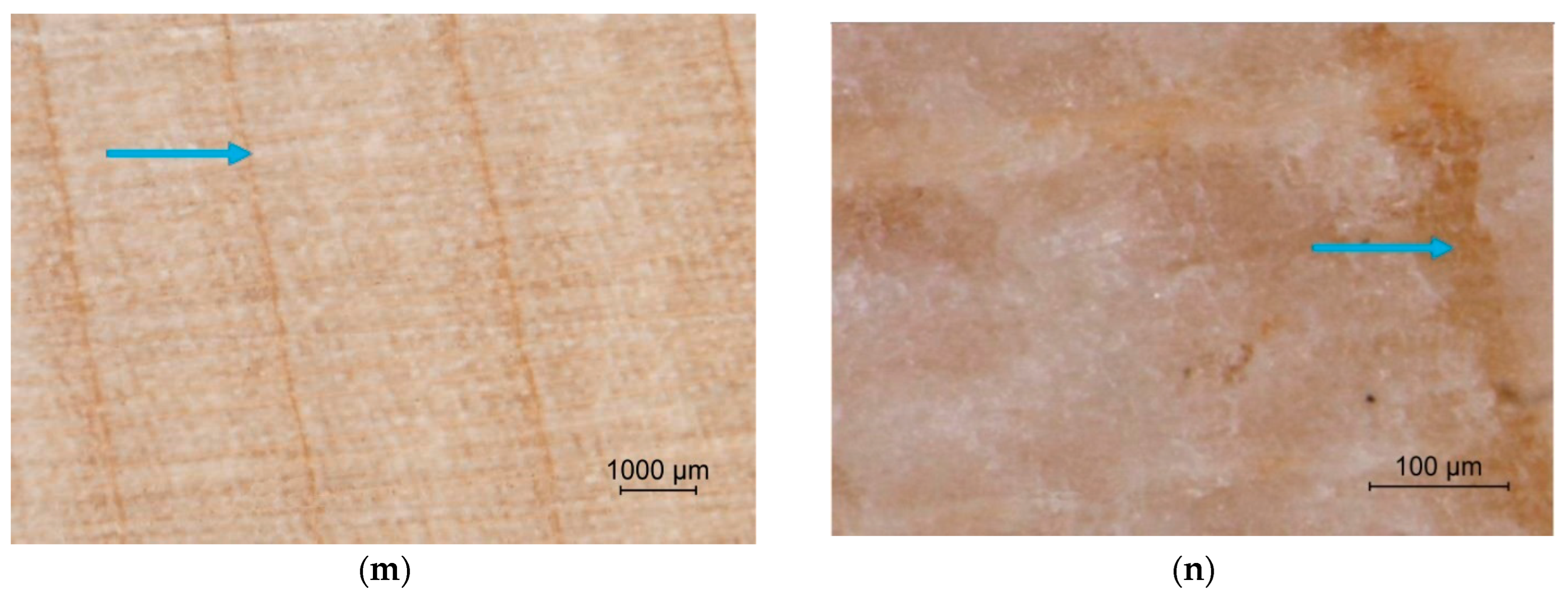 Coatings 12 01982 g004c Coatings 12 01982 g004c