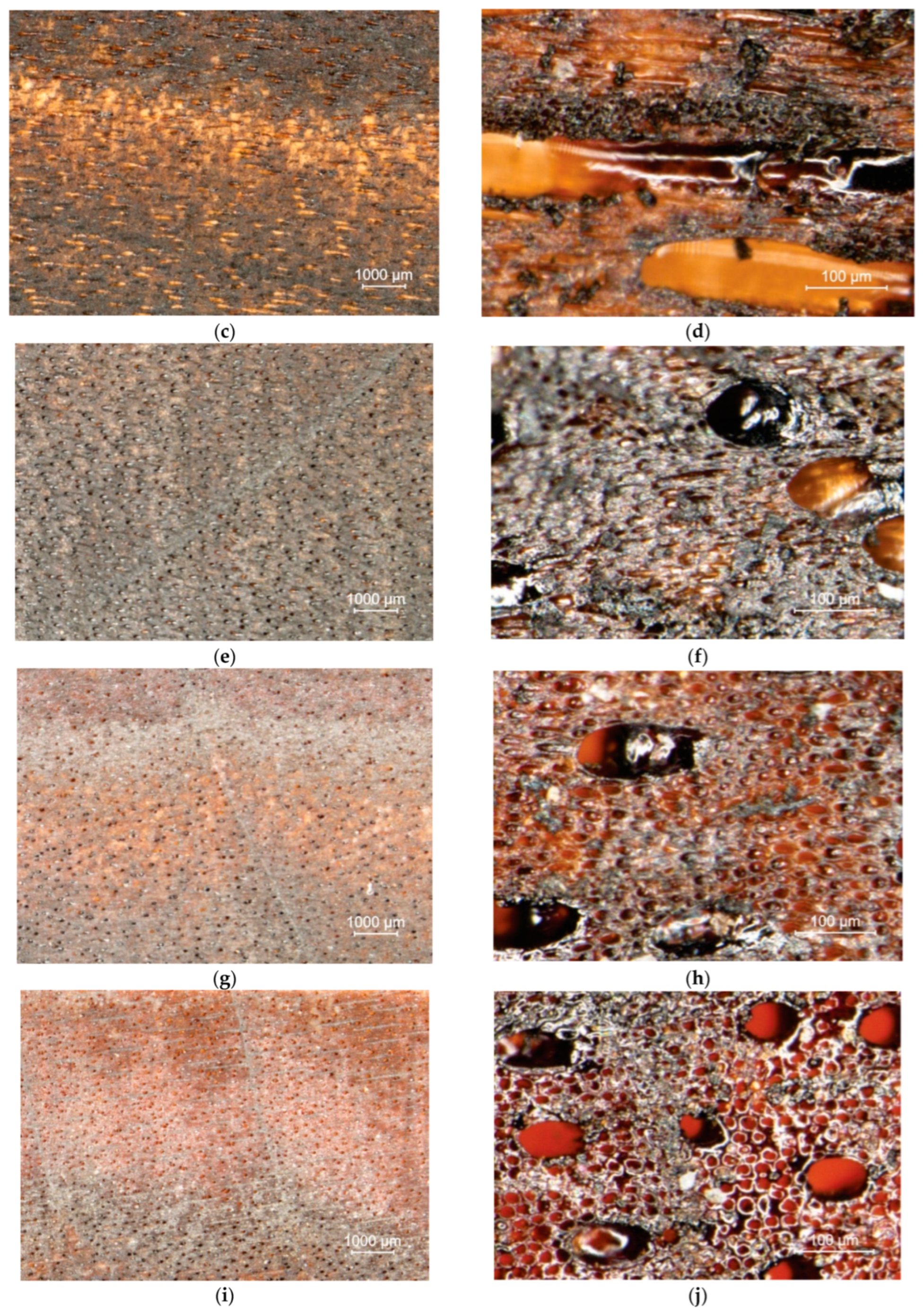 Coatings 12 01982 g011b Coatings 12 01982 g011b