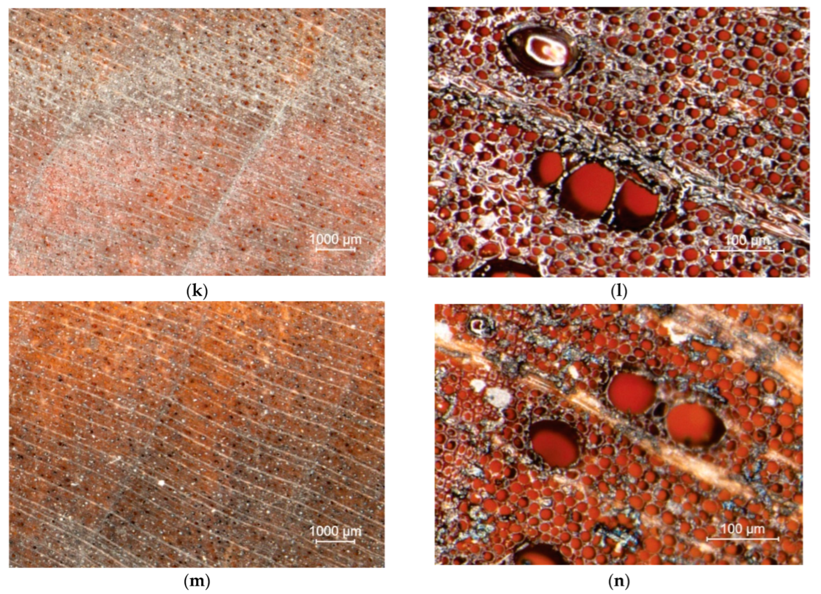 Coatings 12 01982 g011c Coatings 12 01982 g011c