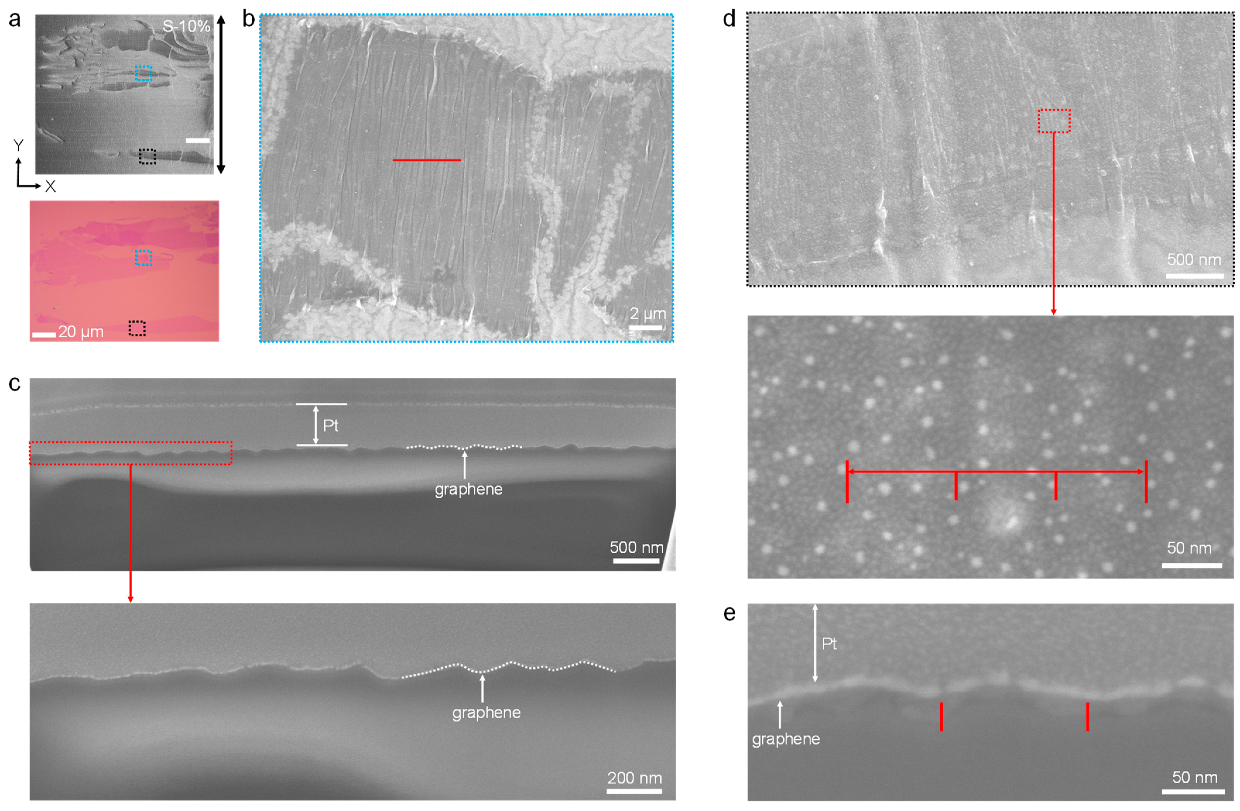 Coatings 12 01983 g002