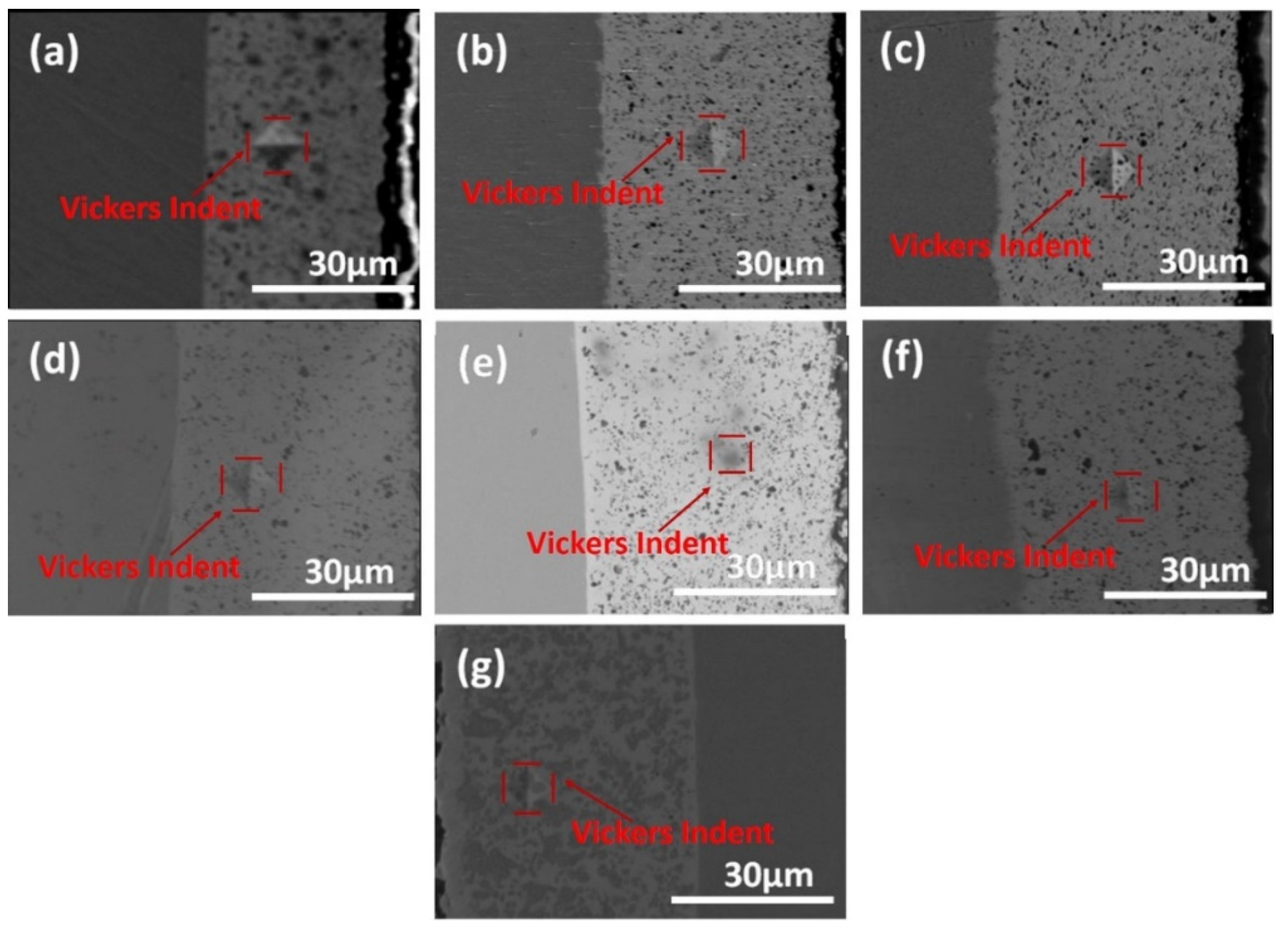 Coatings 12 01992 g002