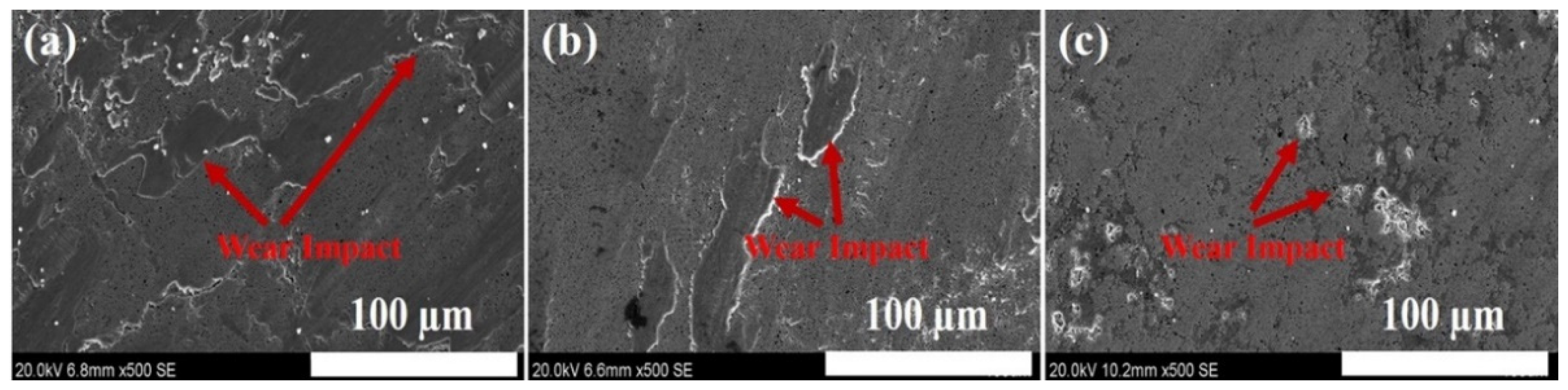 Coatings 12 01992 g006