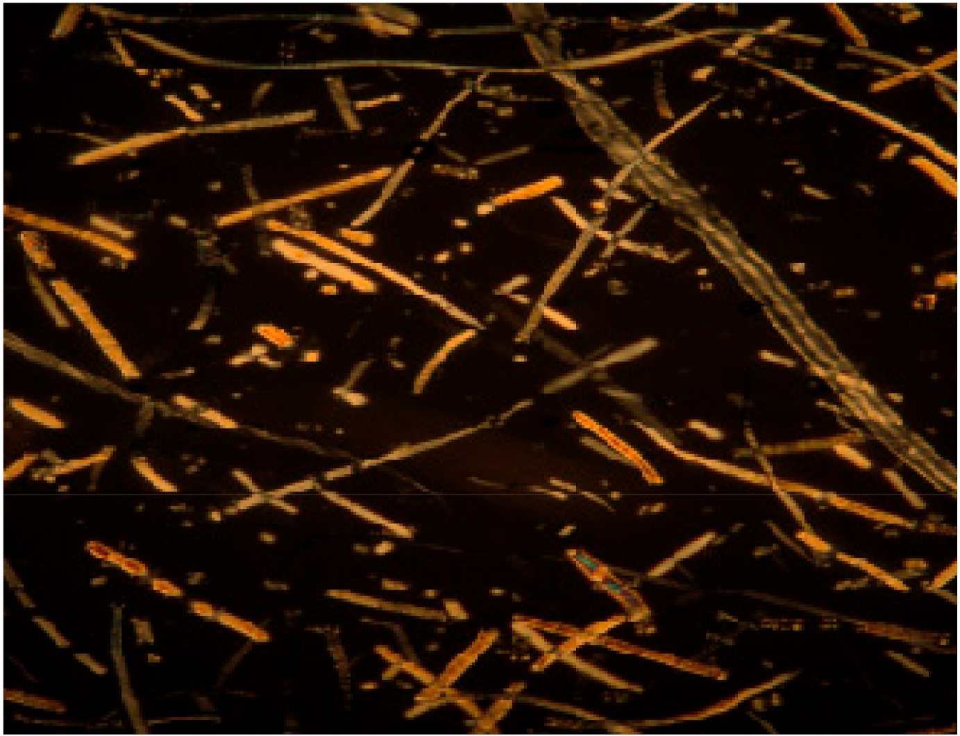 Coatings 13 00003 i004