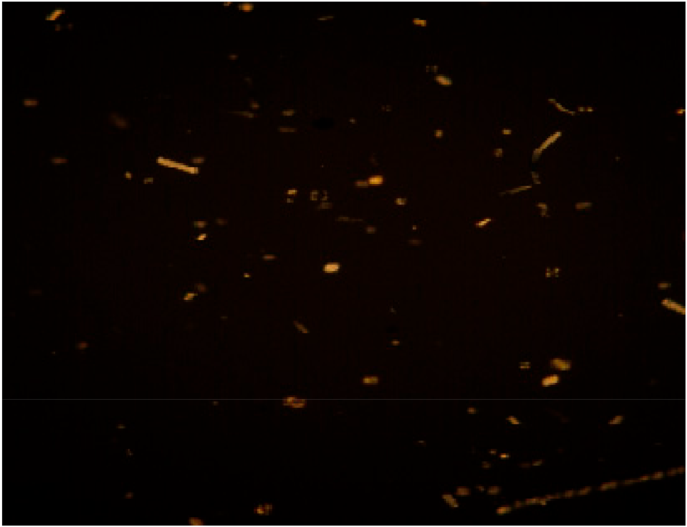 Coatings 13 00003 i006