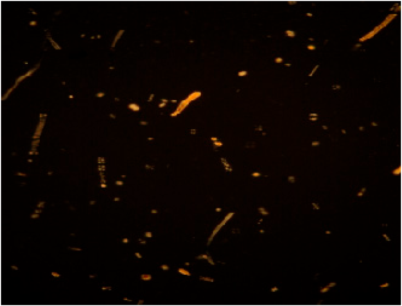 Coatings 13 00003 i008