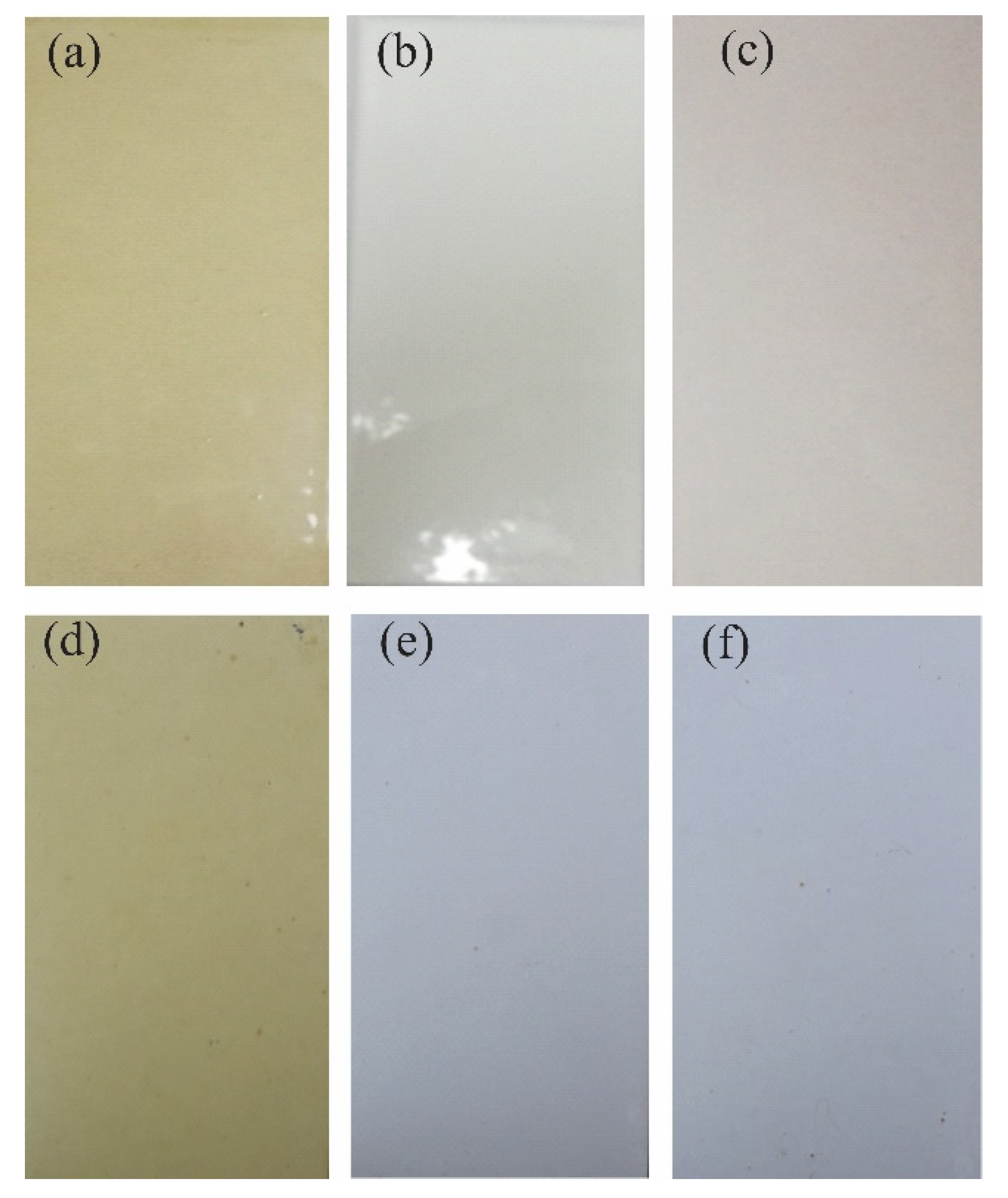 Coatings 13 00008 g008