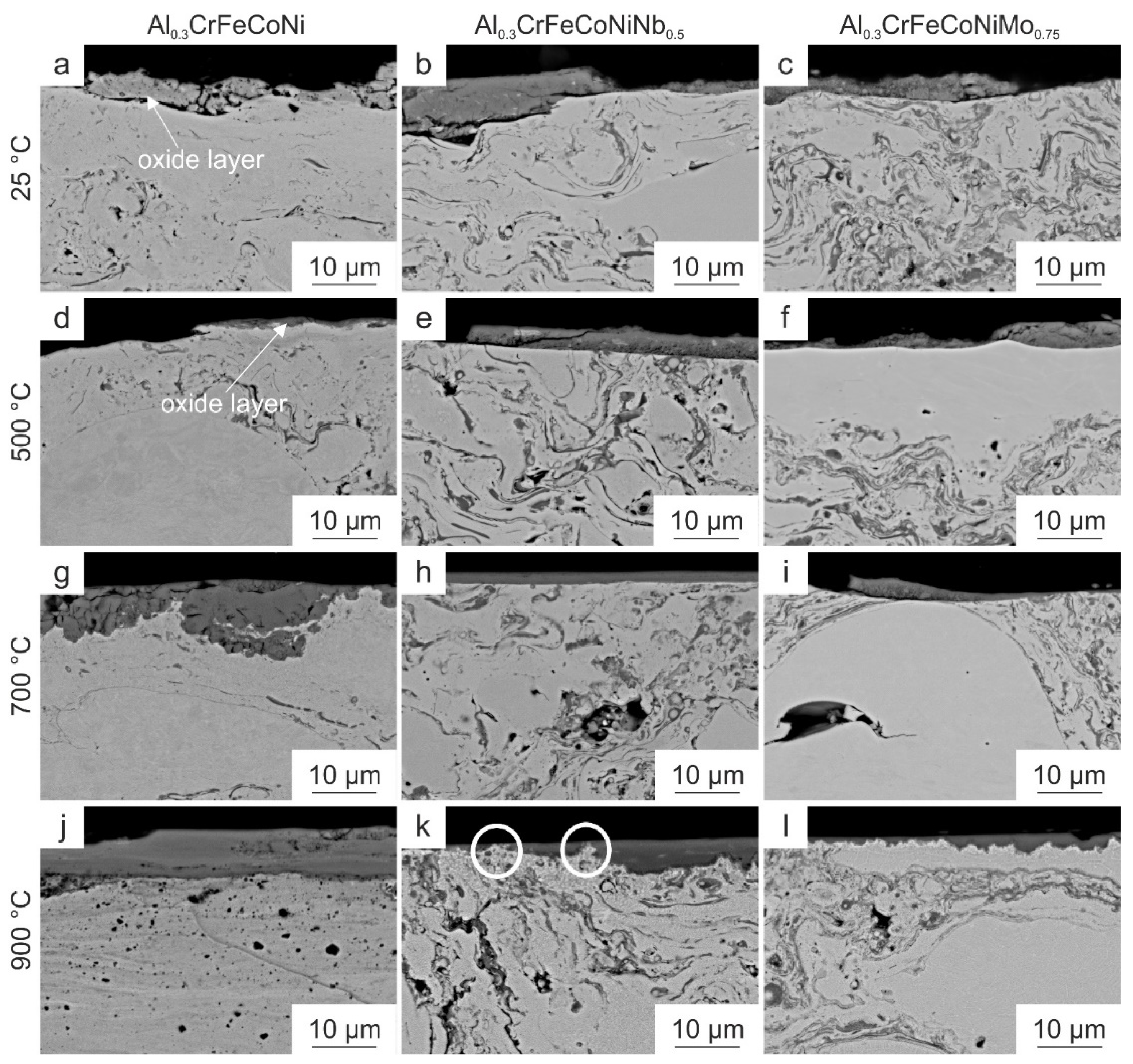 Coatings 13 00009 g008