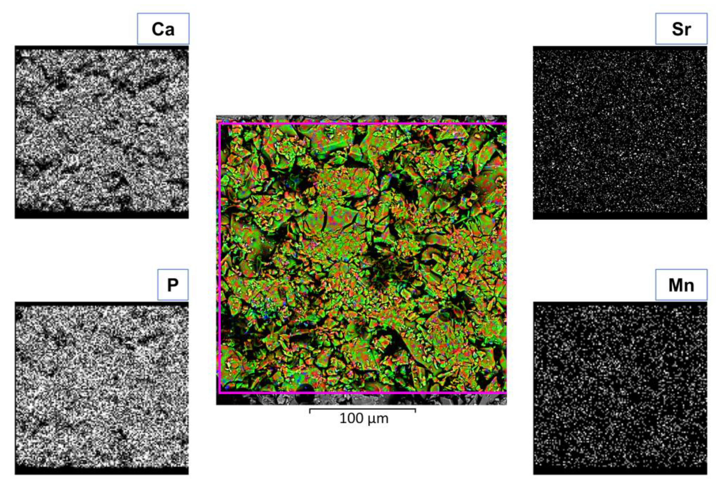 Coatings 13 00036 g006