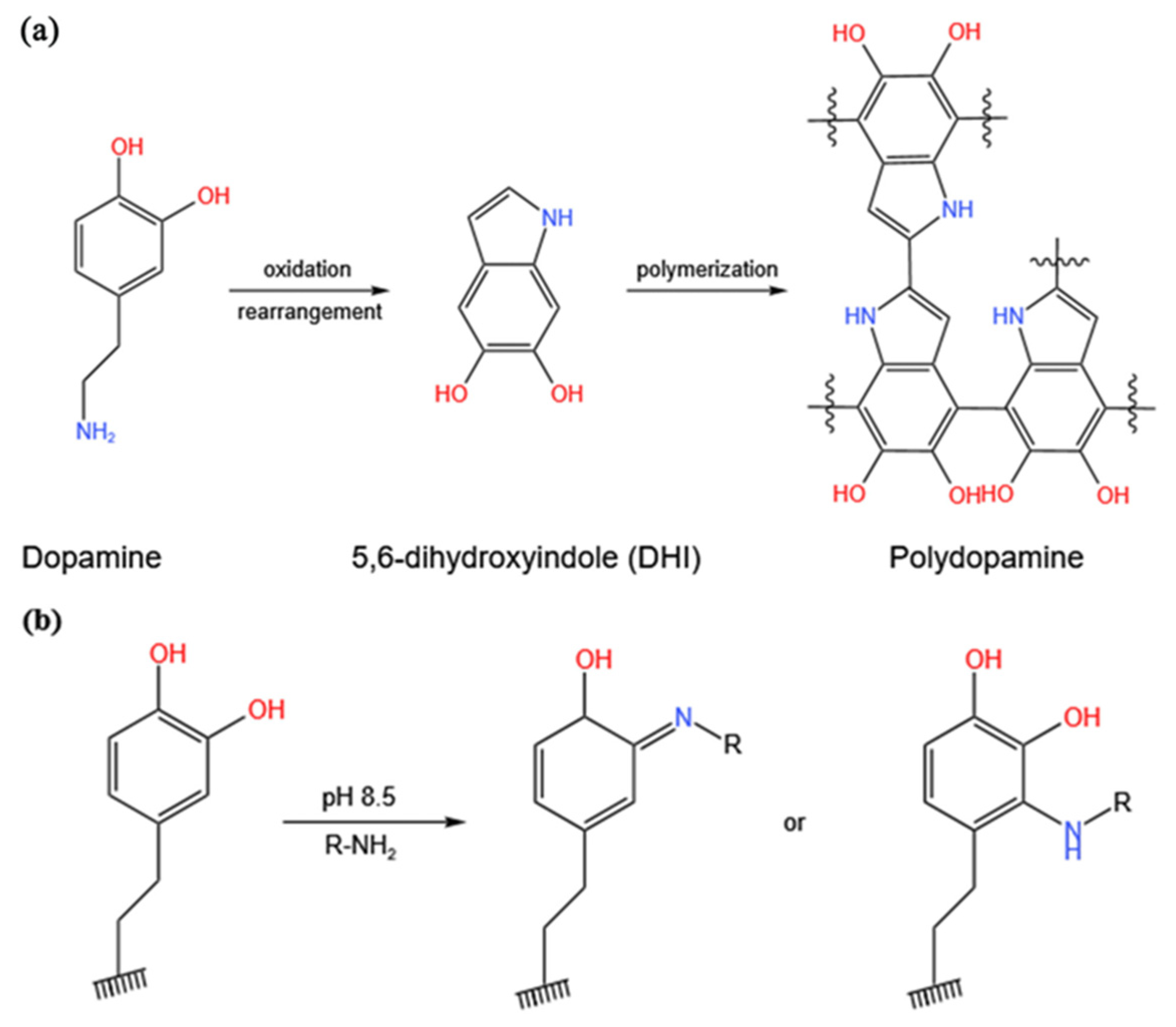 Coatings 13 00050 g001
