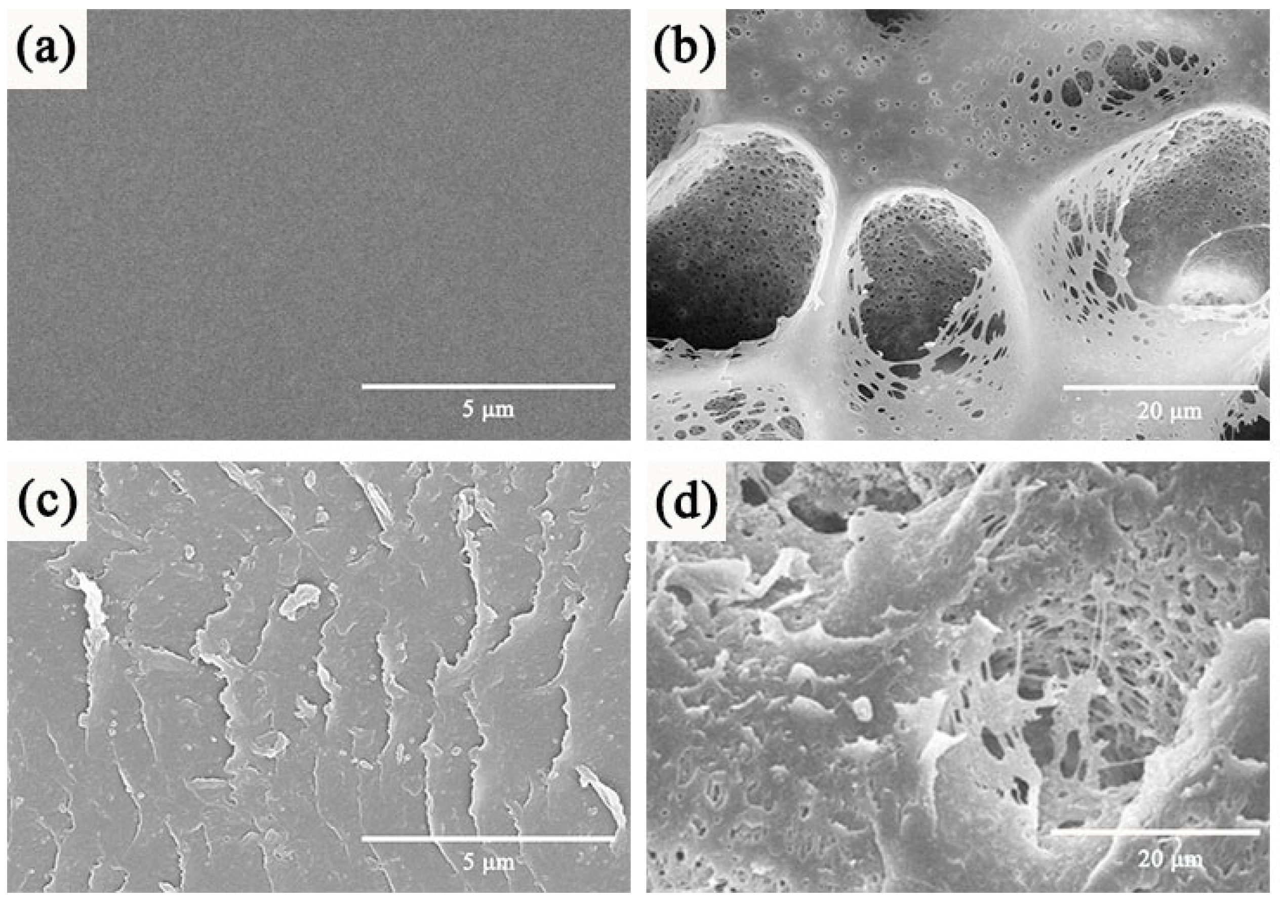 Coatings 13 00050 g002