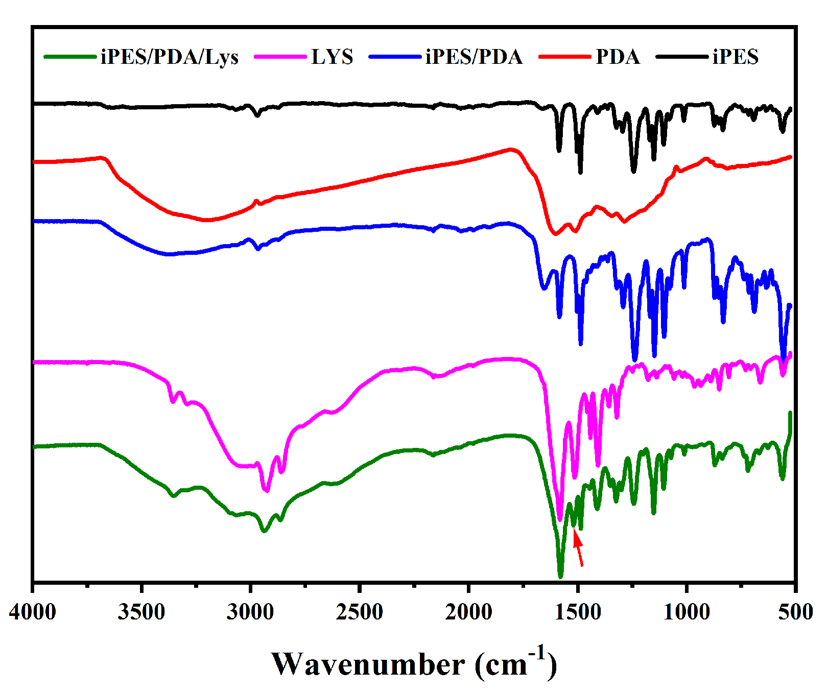 Coatings 13 00050 g003
