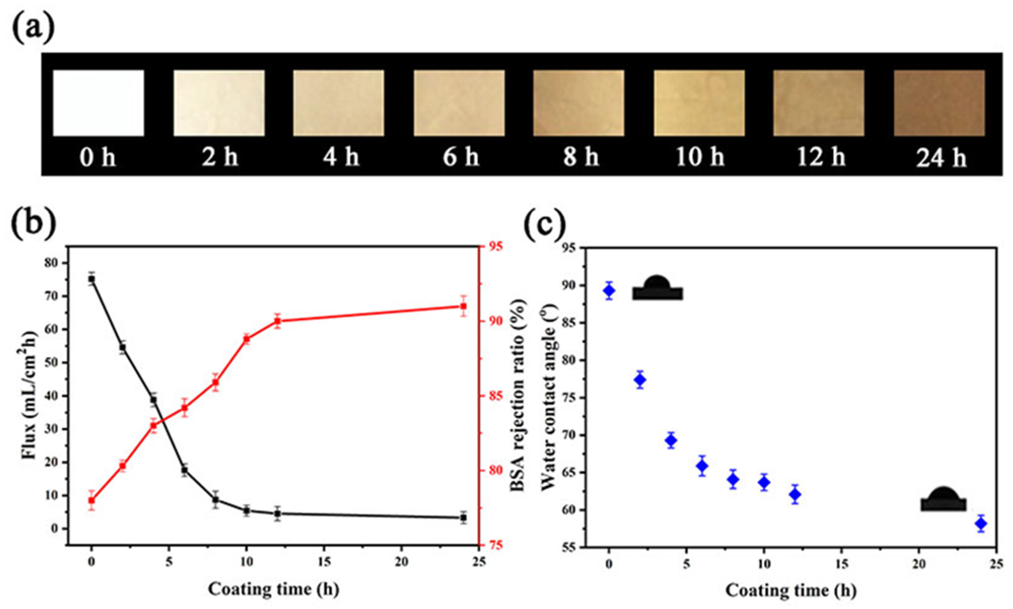 Coatings 13 00050 g004
