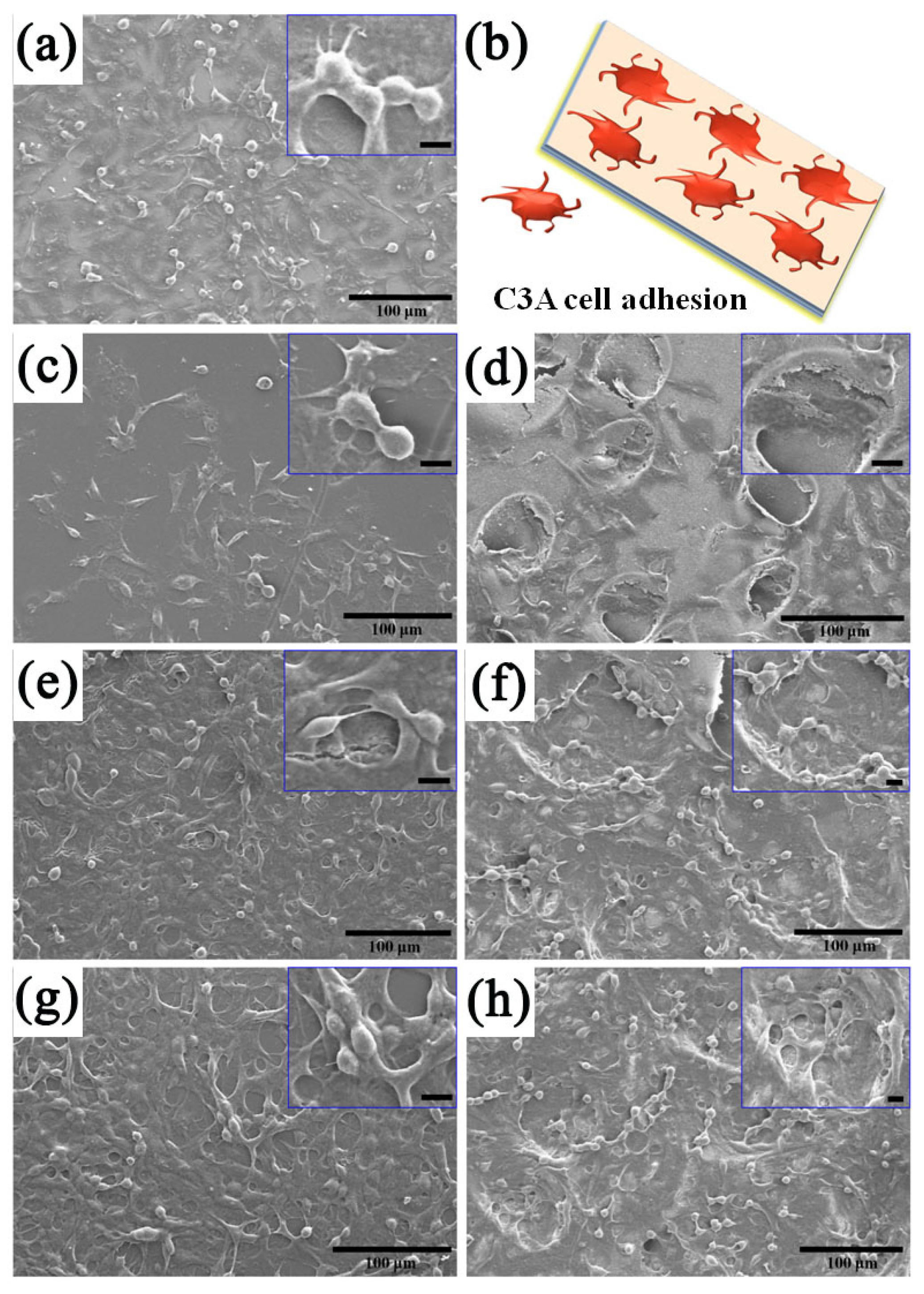 Coatings 13 00050 g008