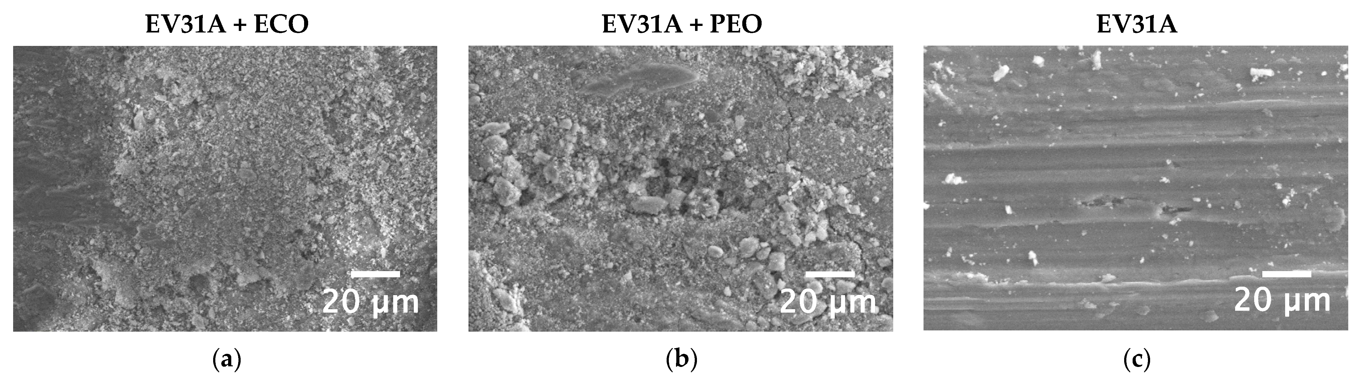 Coatings 13 00062 g010