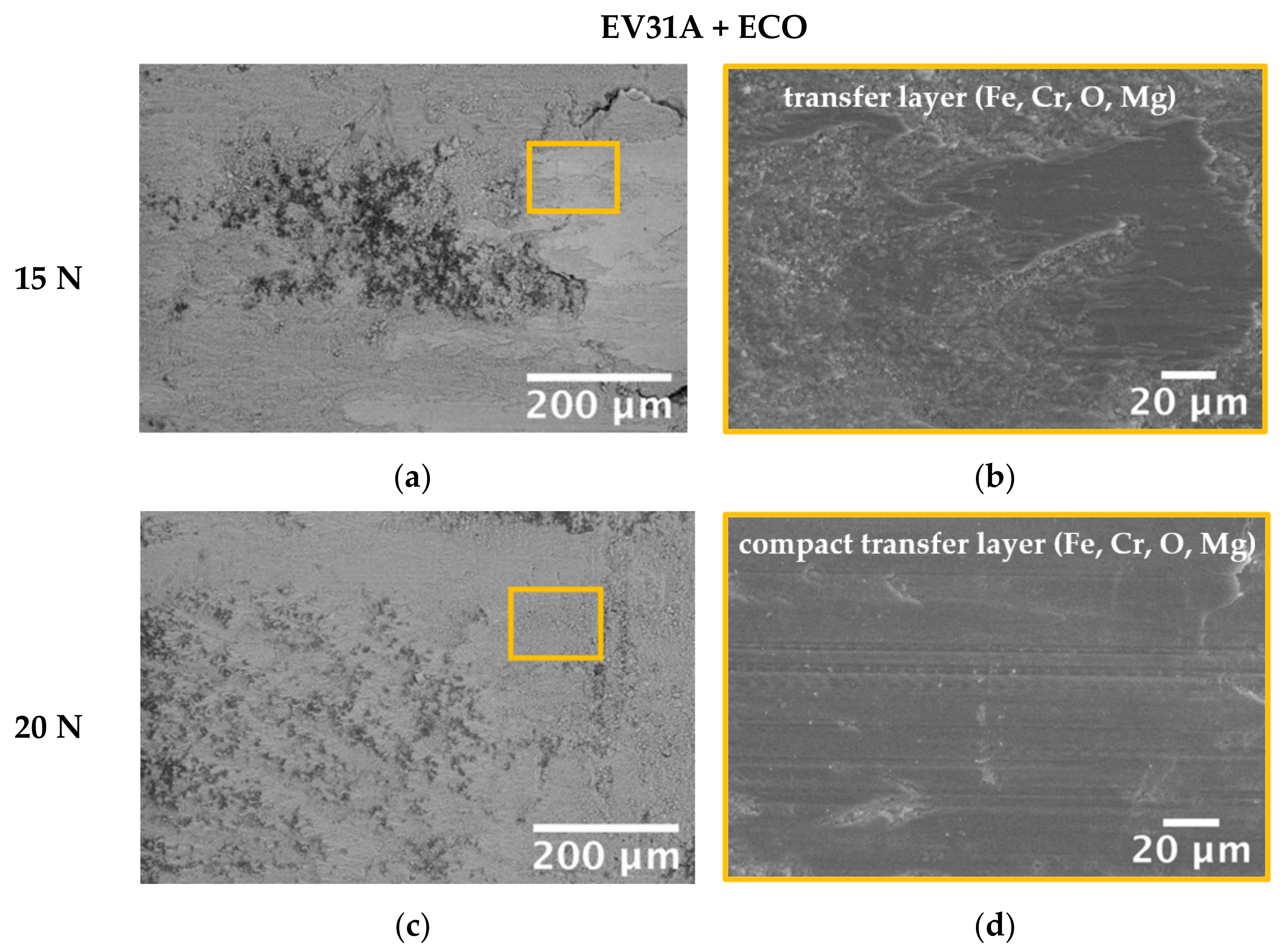 Coatings 13 00062 g011a