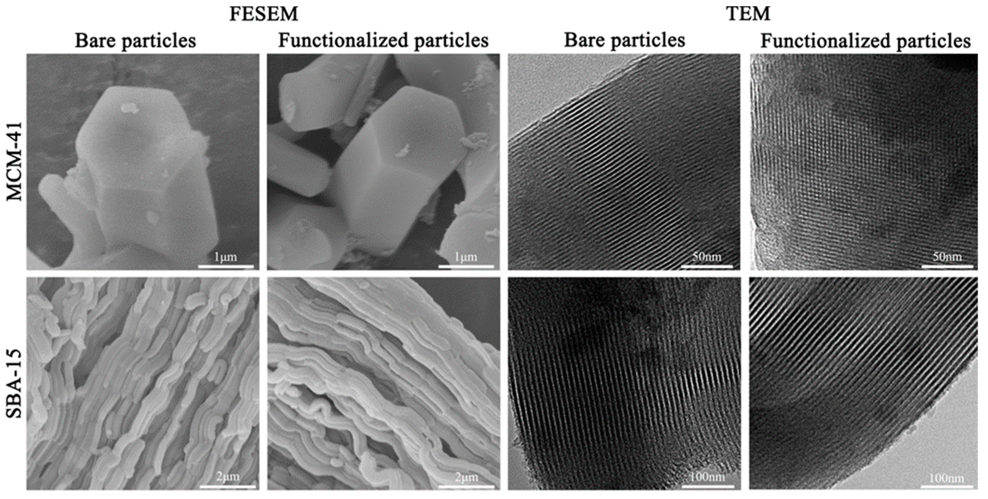 Coatings 13 00086 g002