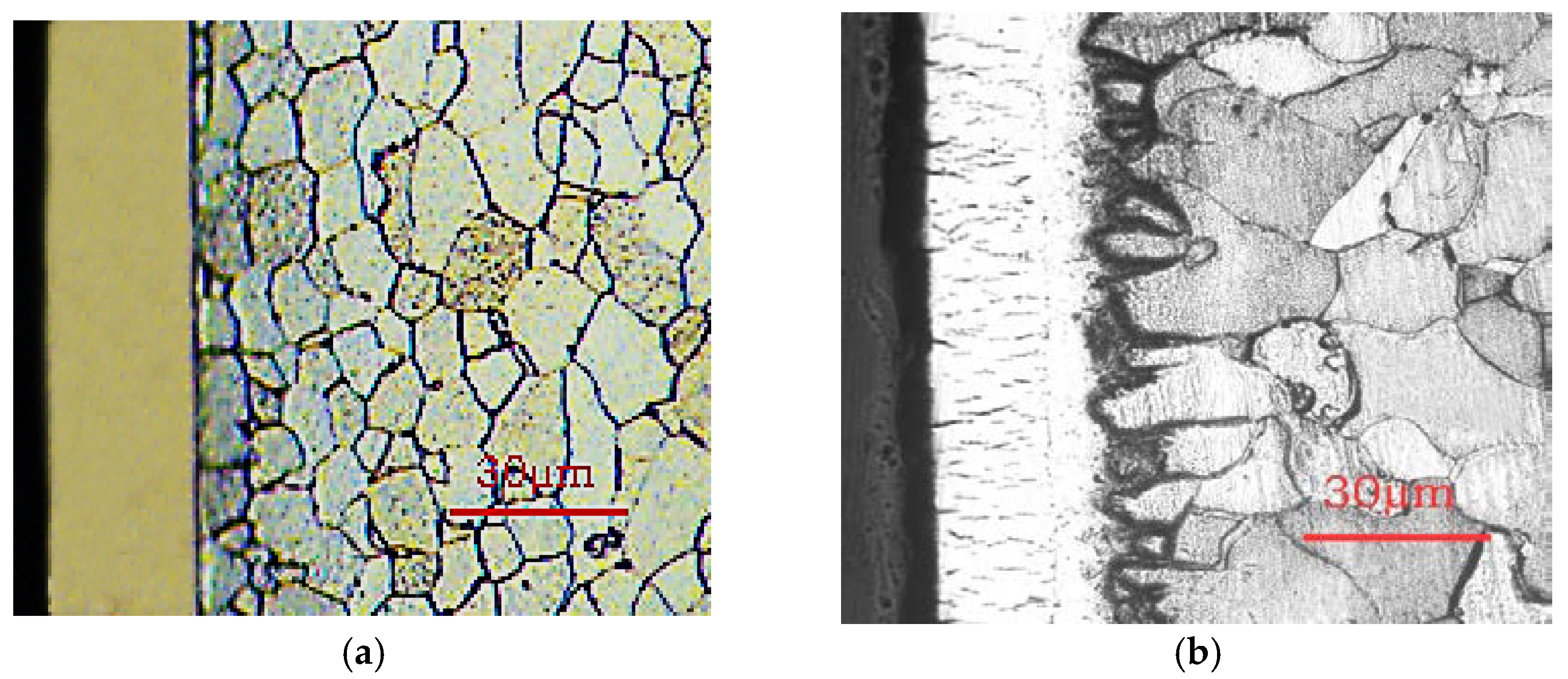 Coatings 13 00098 g005