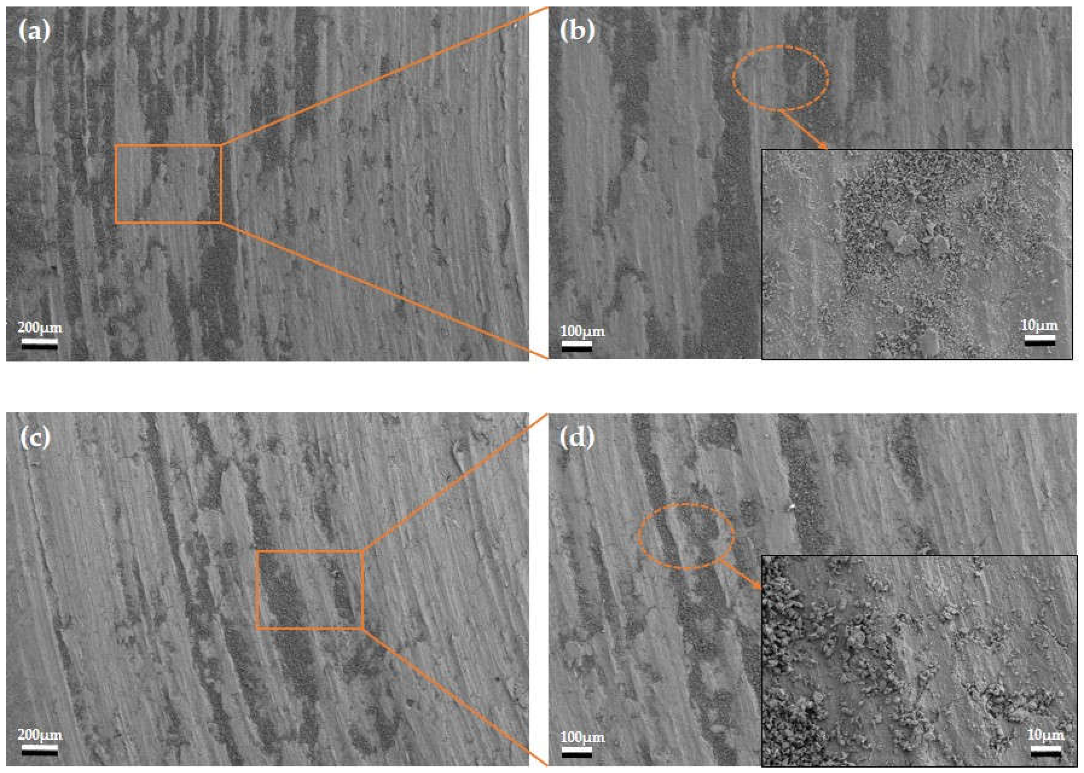 Coatings 13 00118 g009