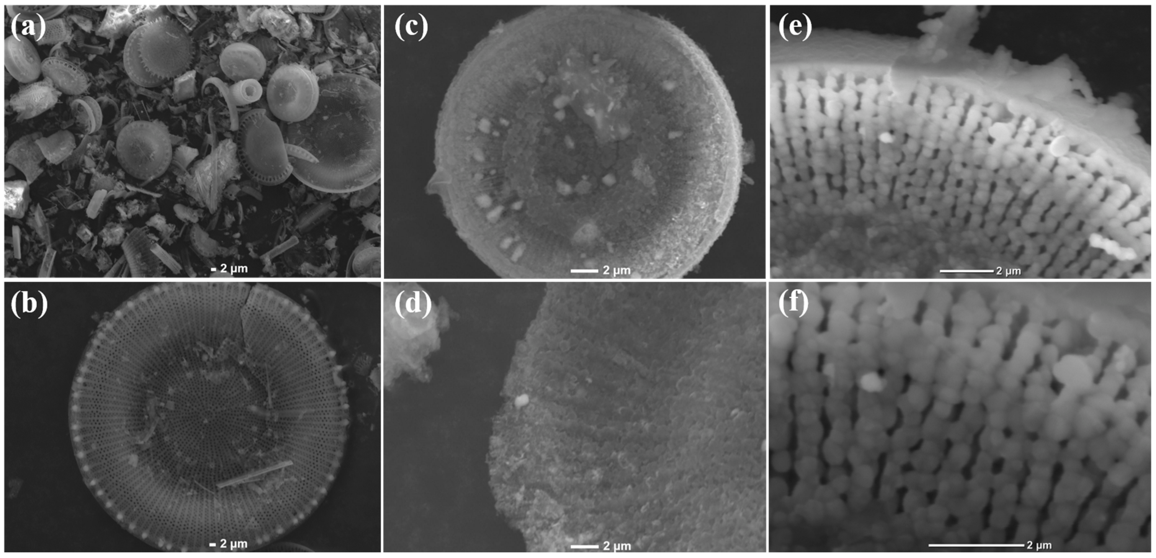 Coatings 13 00146 g002 Coatings 13 00146 g002
