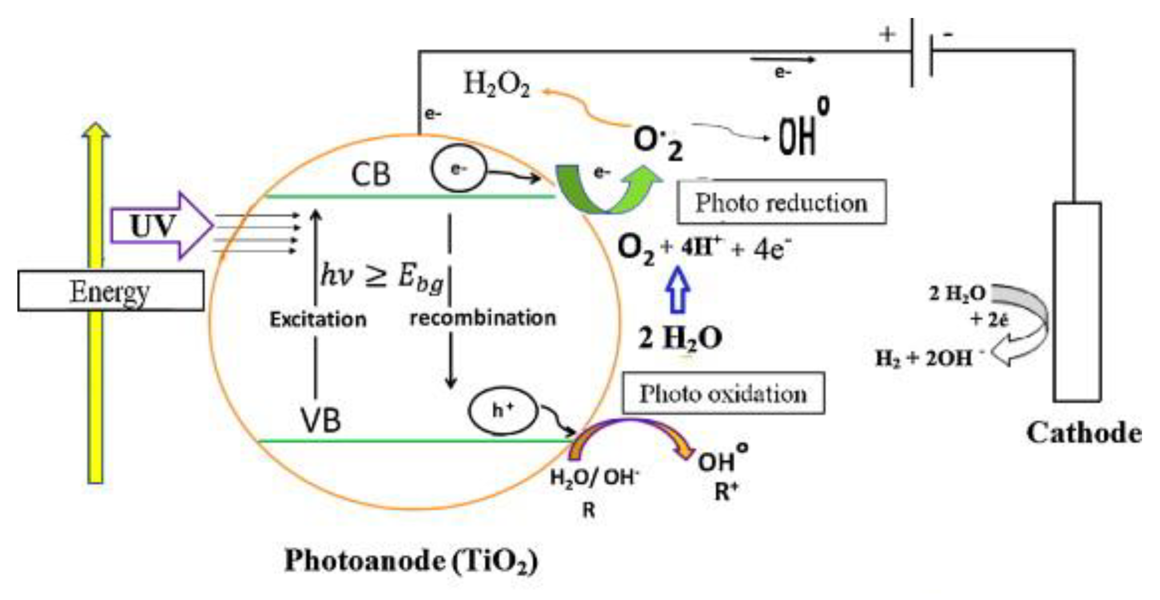 Coatings 13 00159 g001