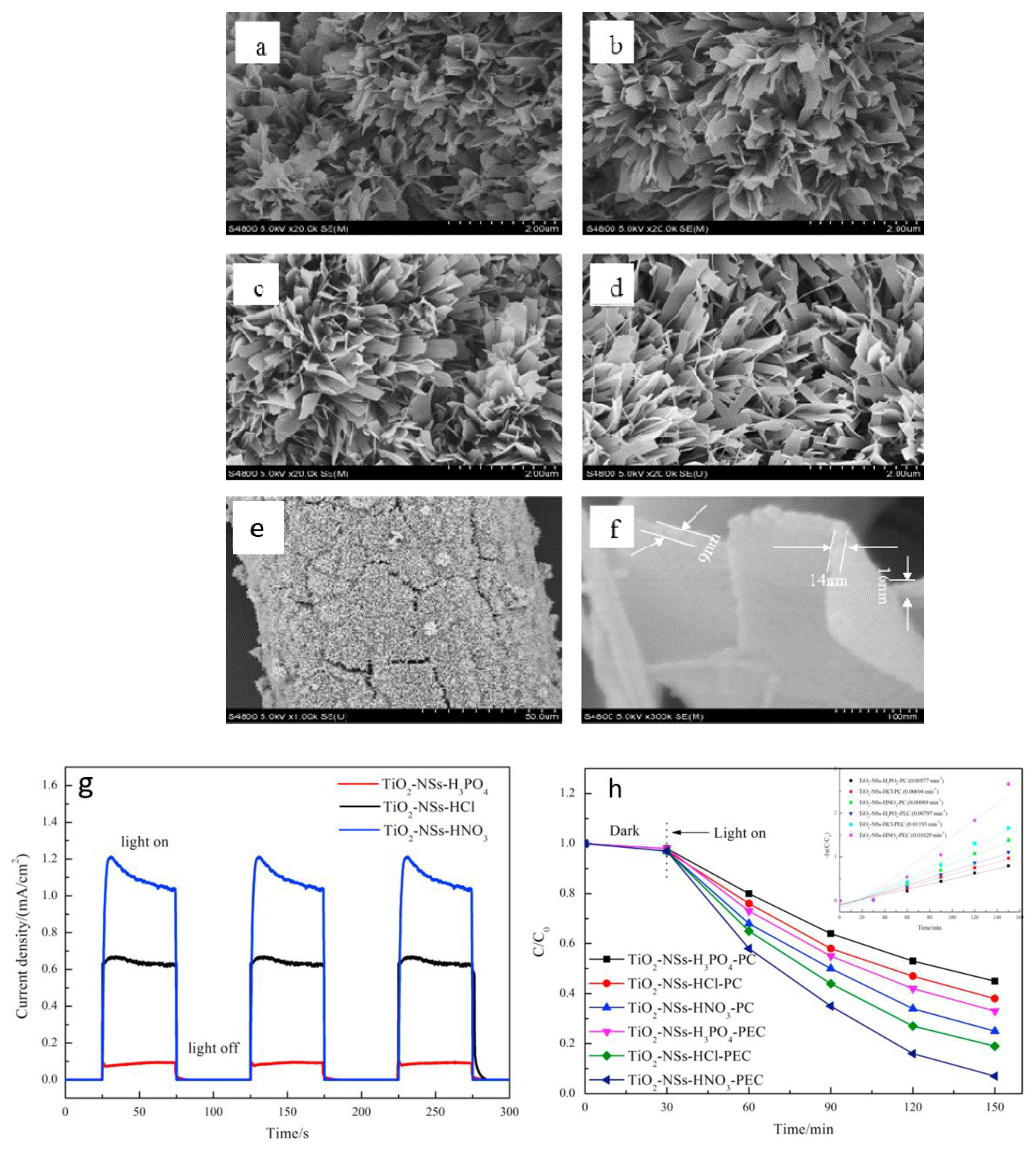 Coatings 13 00159 g002