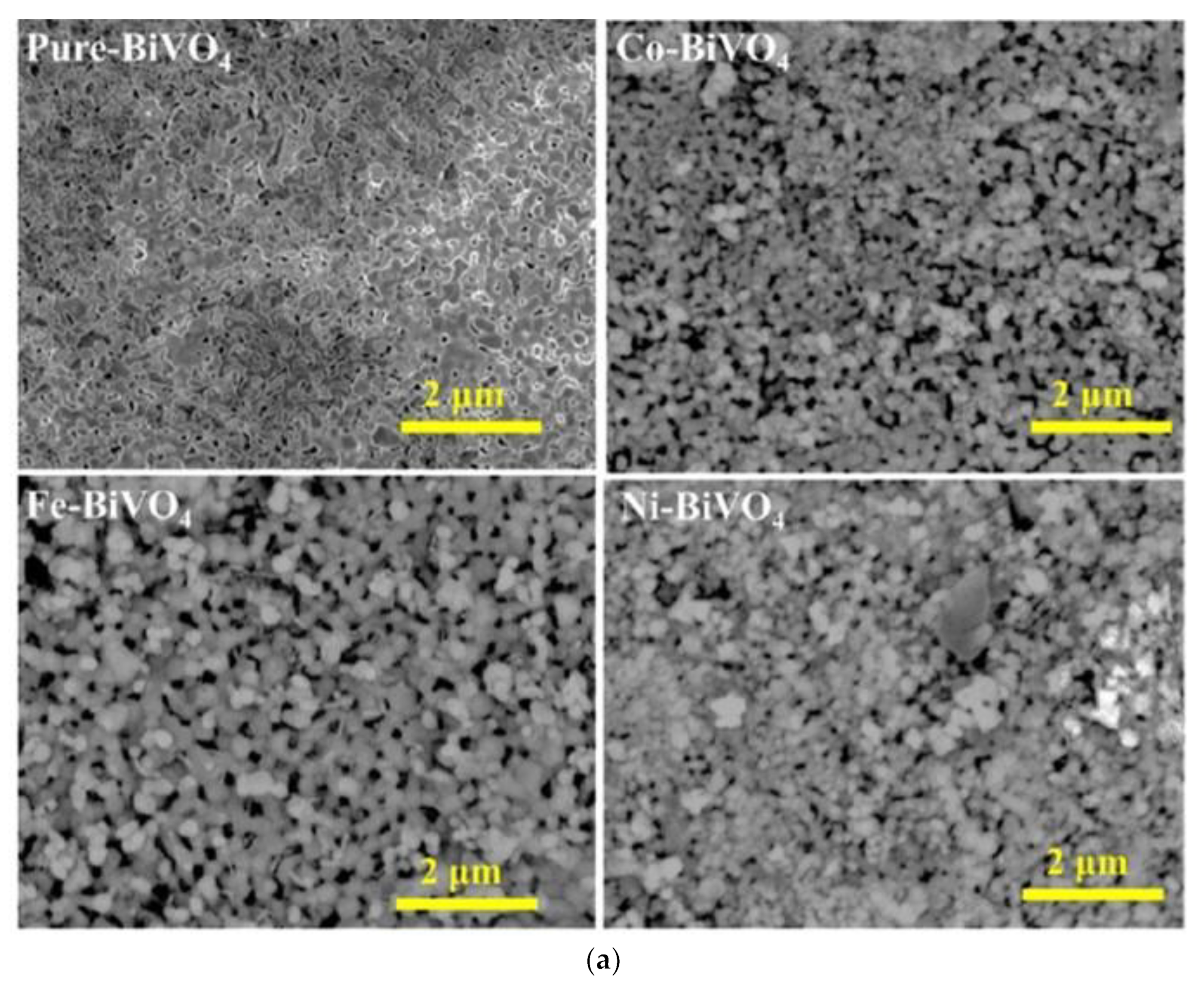 Coatings 13 00159 g003a