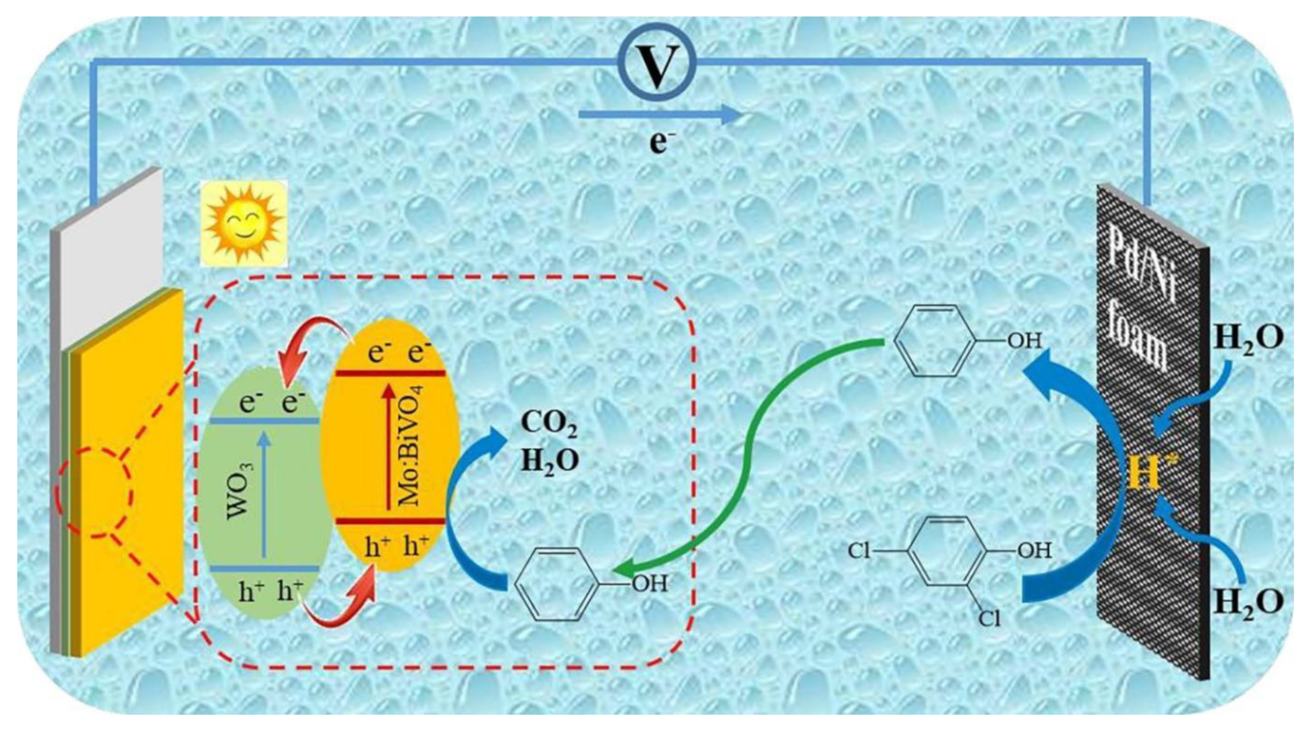 Coatings 13 00159 g005