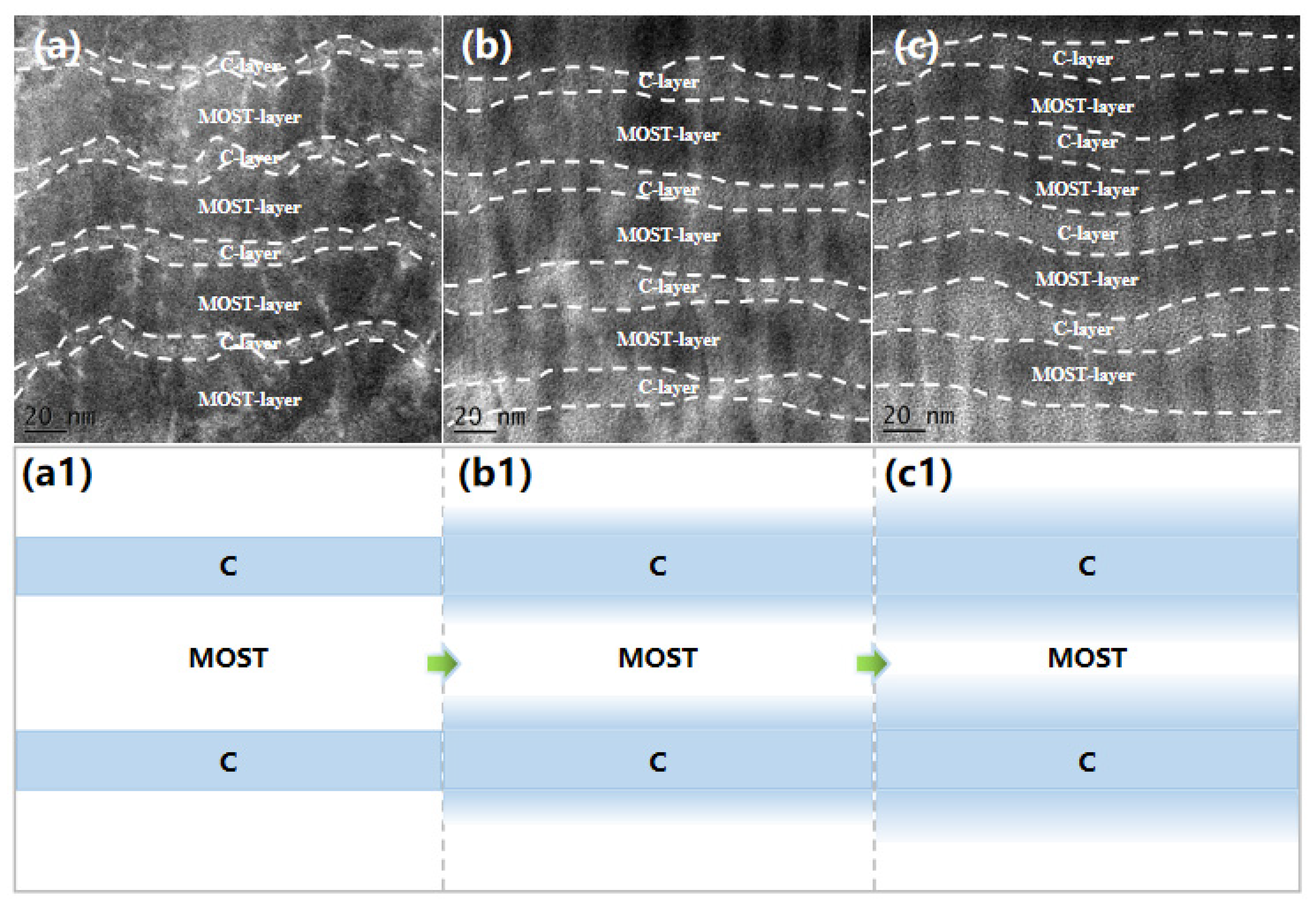 Coatings 13 00176 g005