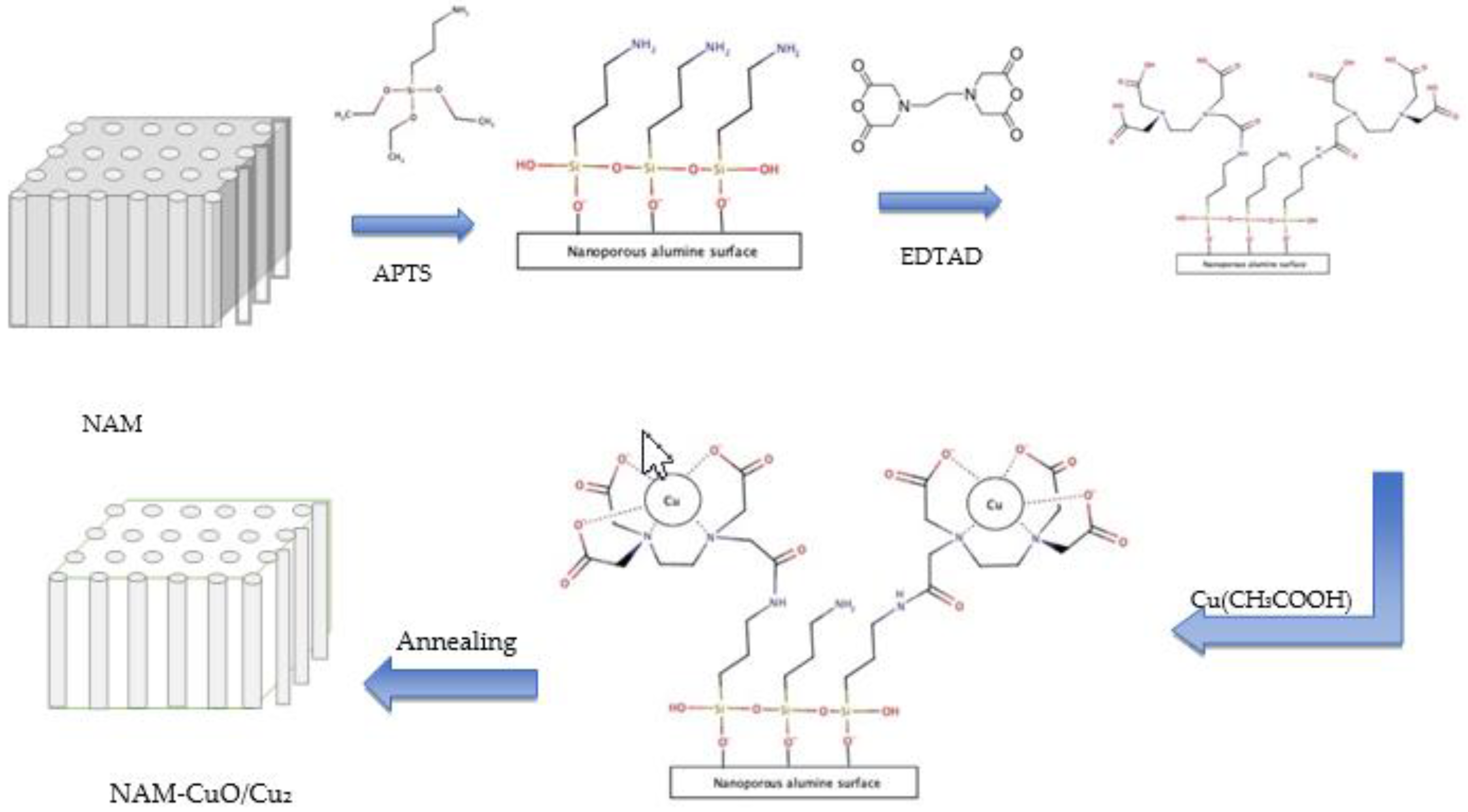 Coatings 13 00179 g002