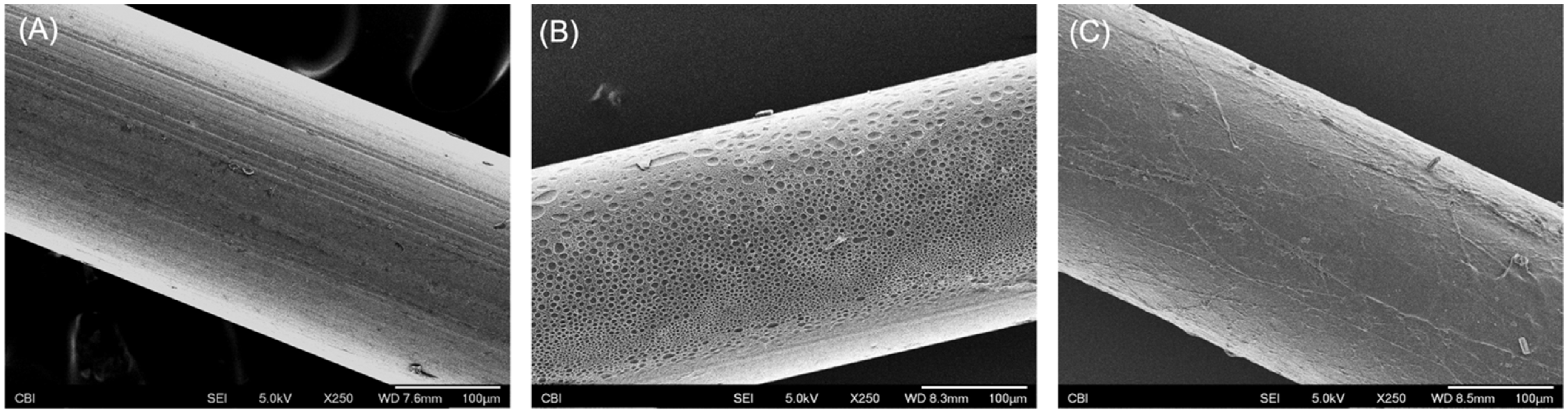Coatings 13 00184 g002 Coatings 13 00184 g002